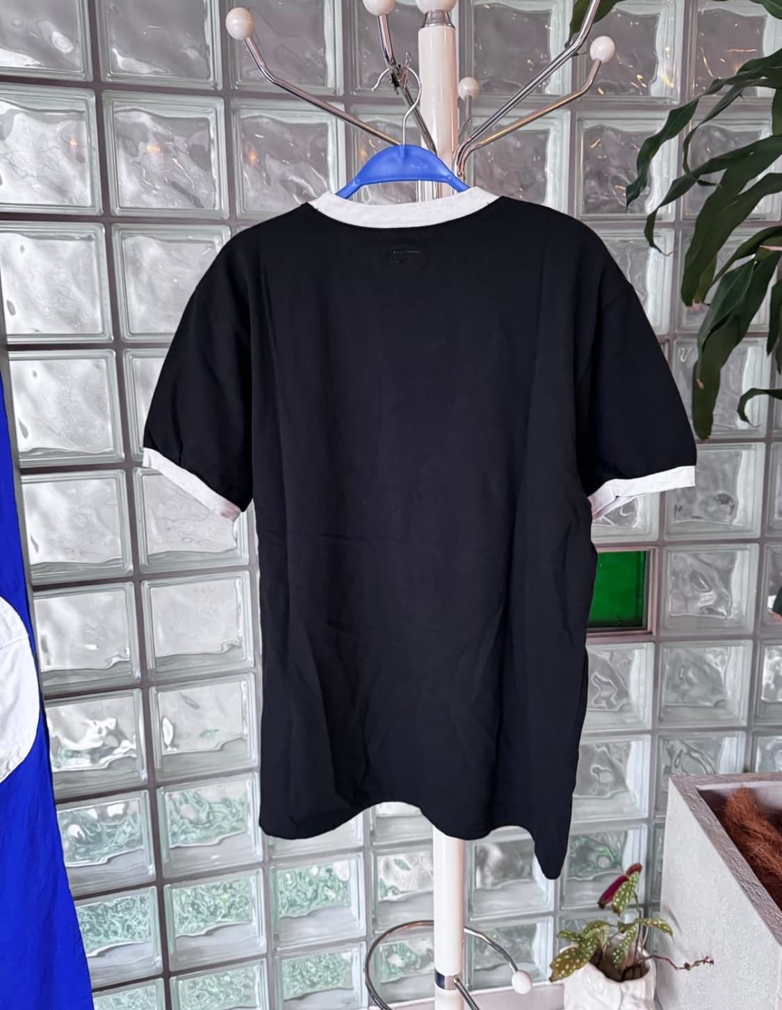 3) 리본 콘쵸 링거 티 ringer short tee 상품이미지4
