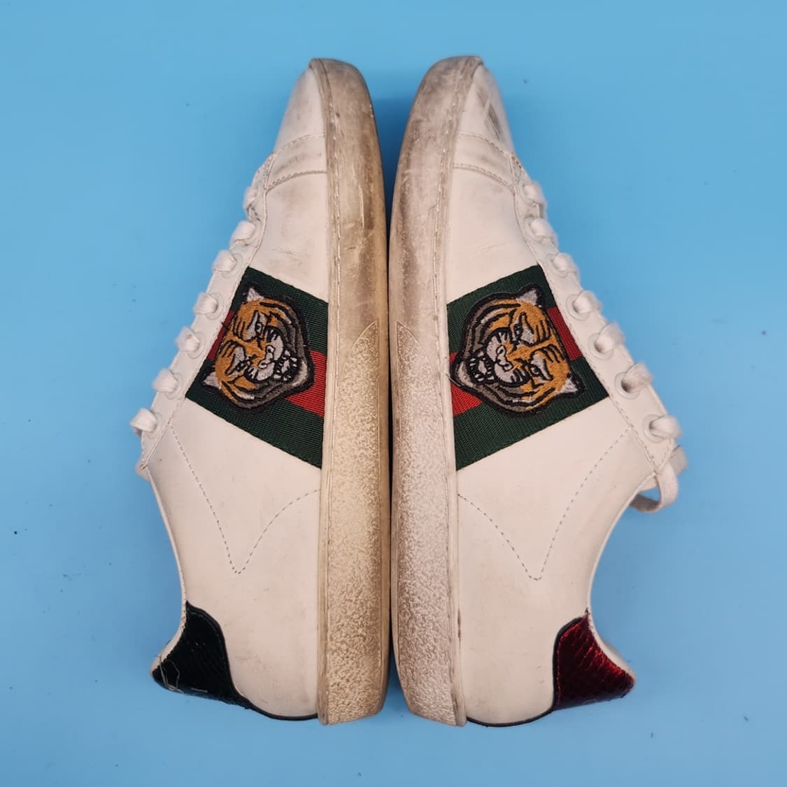 o 구찌 에이스 타이거자수 여성스니커즈36 230 상품이미지5