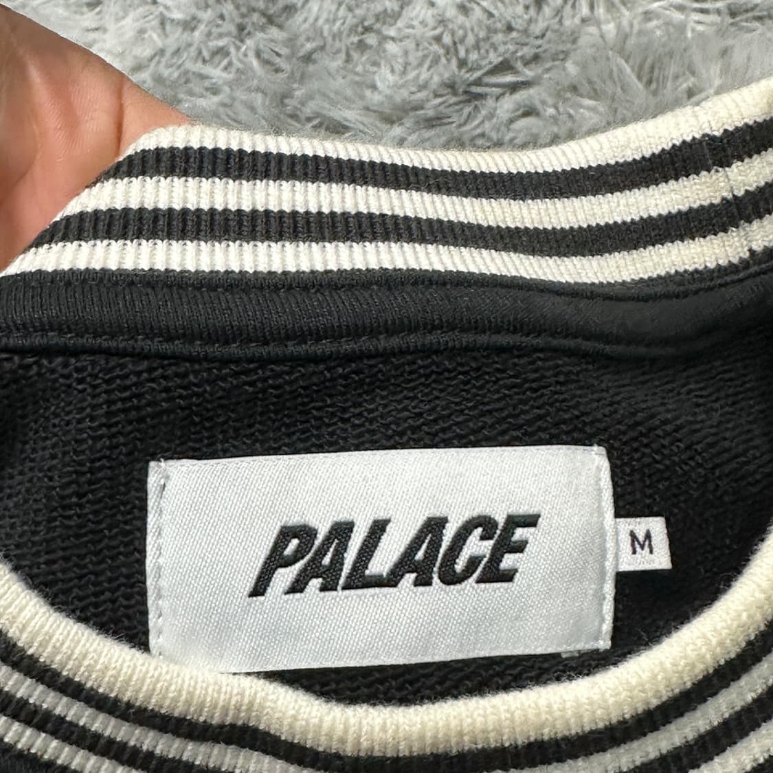 팔라스 칠리 덕 빅로고 맨투맨 m 상품이미지4