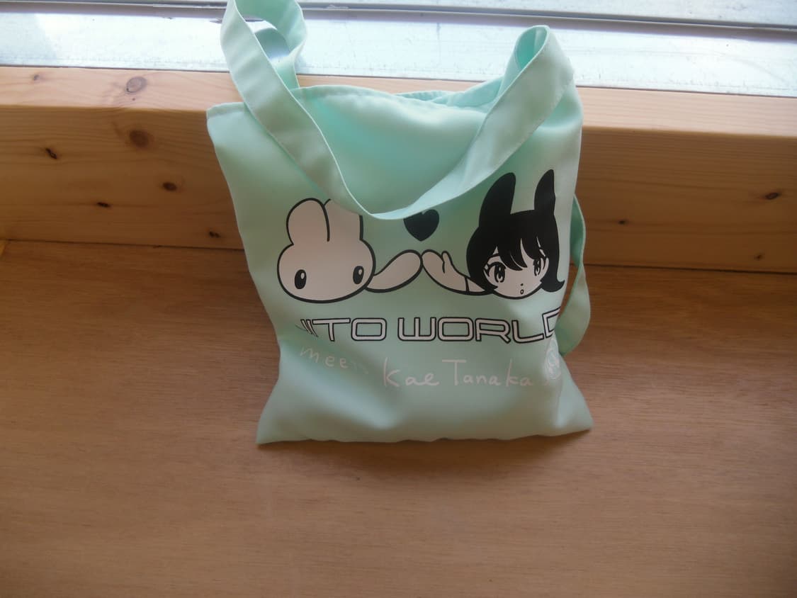 지초이 가방 상품이미지1