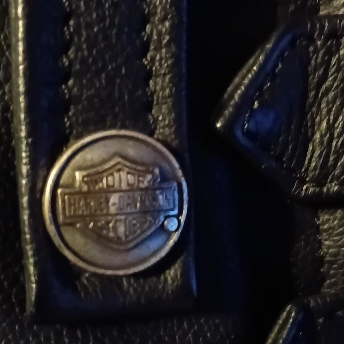 할리데이비슨 플레임 라이드 프리 레더 자켓 상품이미지4