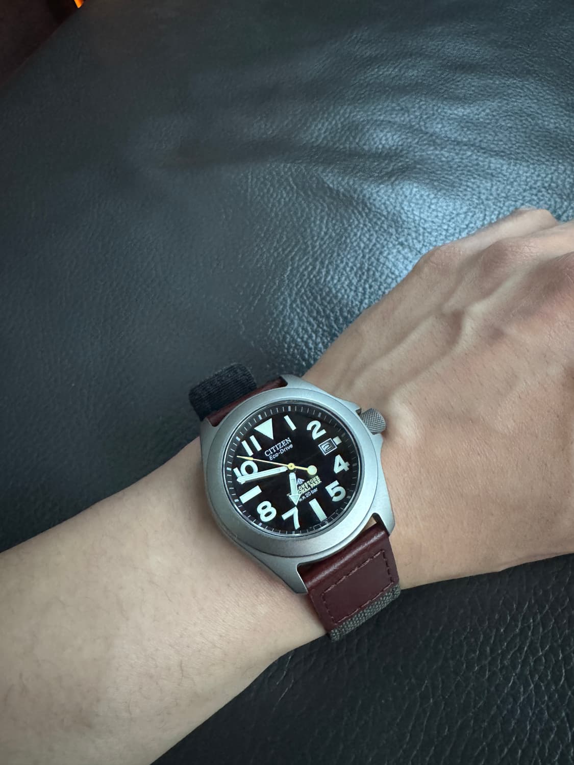 시티즌 프로마스터 터프 옐로스톤 국립공원 한정판 팝니다. 상품이미지8