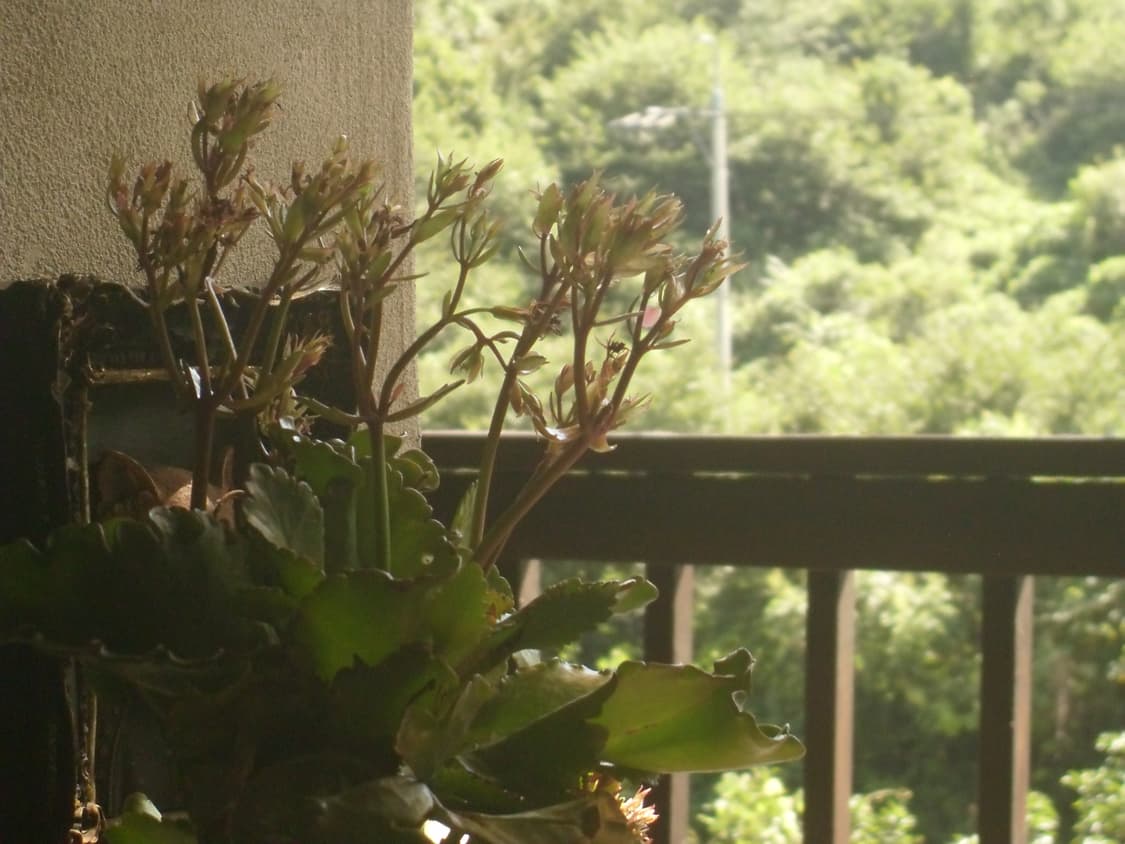 삼성 VLUU l100 판매합니다 상태좋아요✨ 상품이미지6