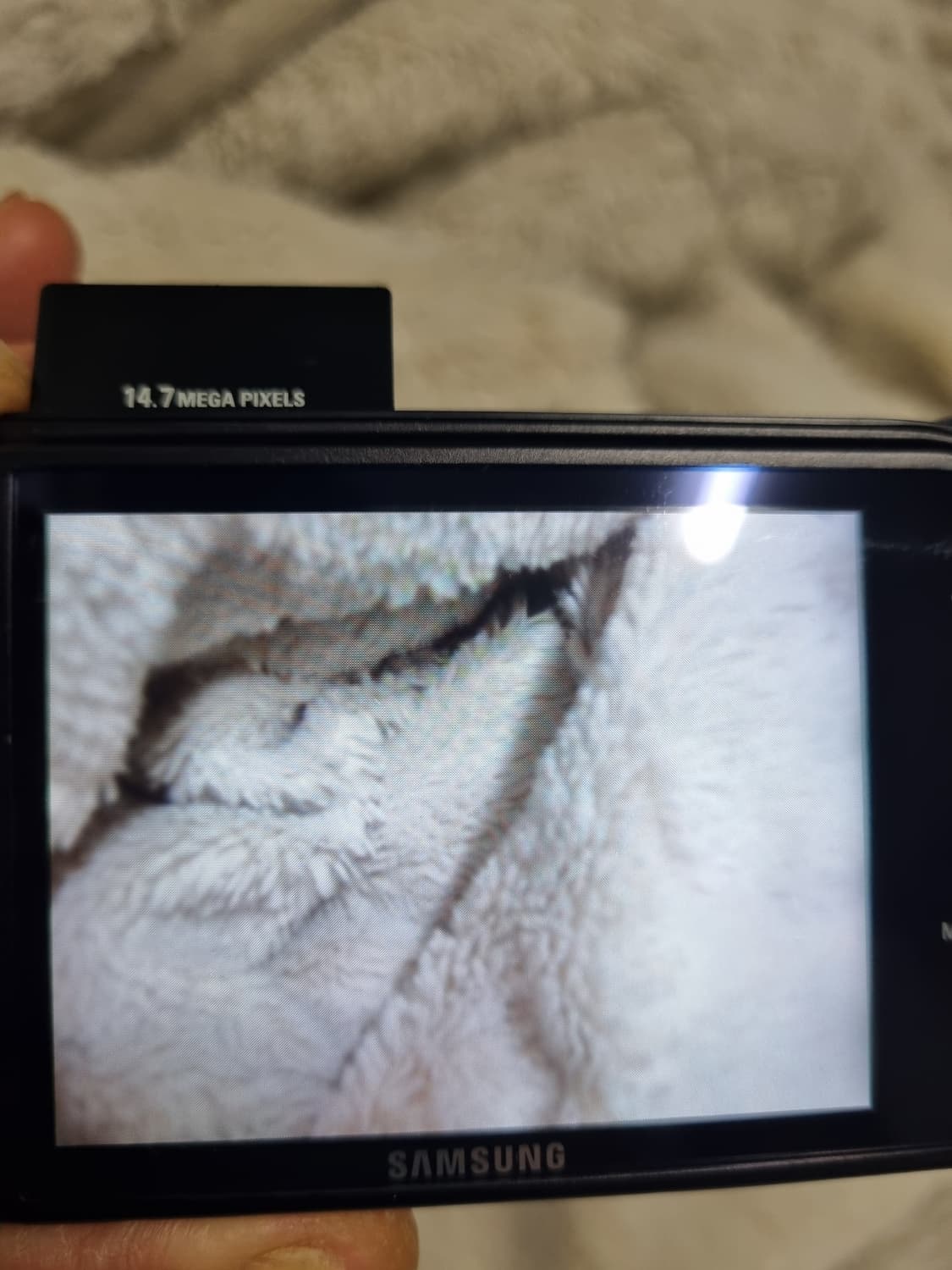 삼성 vluu nv100 hd 레트로 디카 빈티지 카메라 상품이미지5