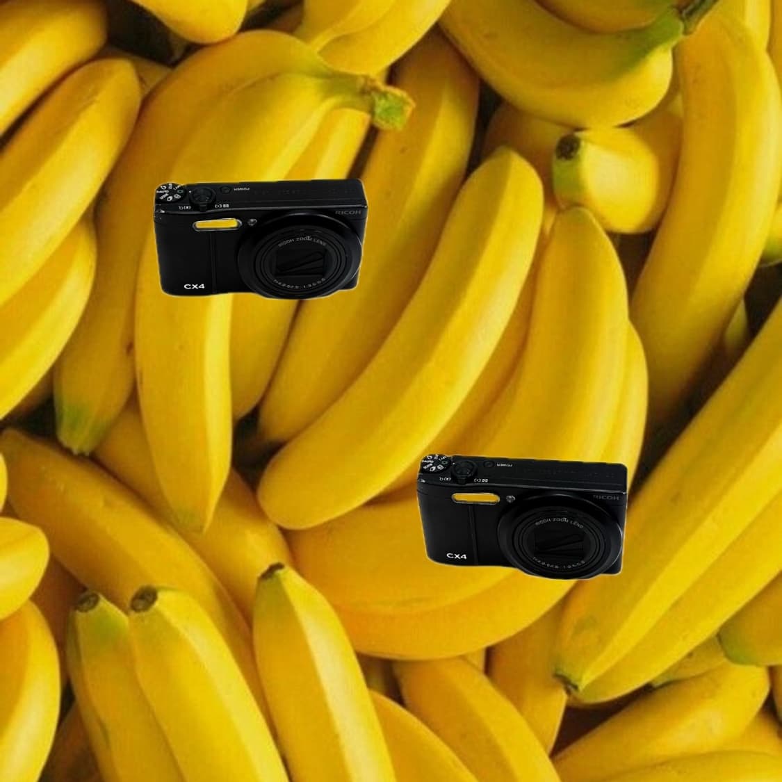 소프트포커스&초희귀!) Ricoh CX4 디카 카메라 상품이미지1