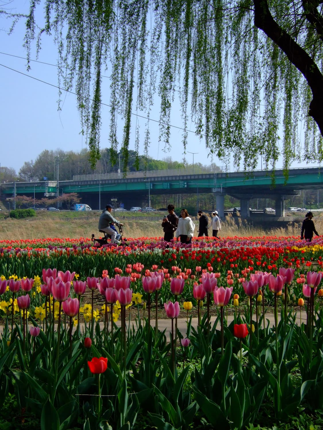 [미품 풀박스] 후지필름 파인픽스 F30 상품이미지8