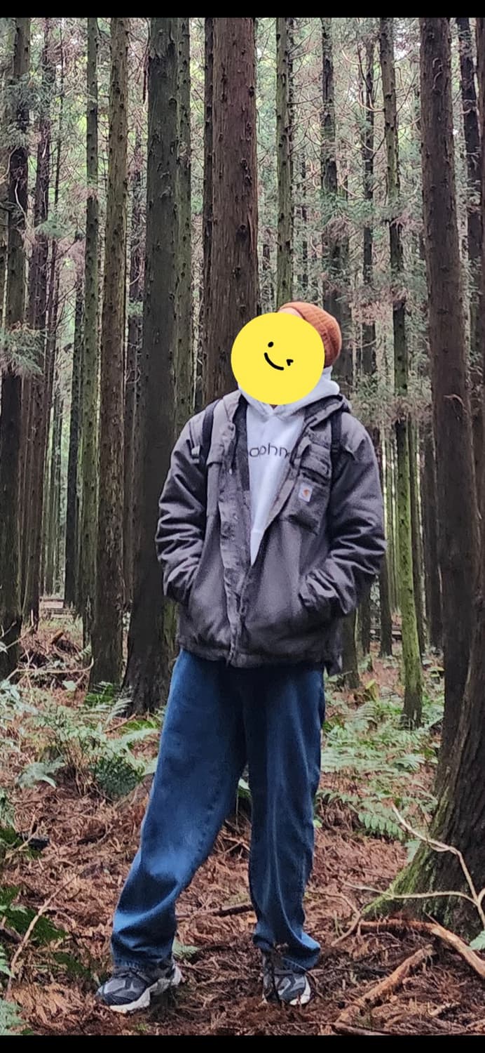 Carhartt Bartlett Jacket- 2xl gr 상품이미지8