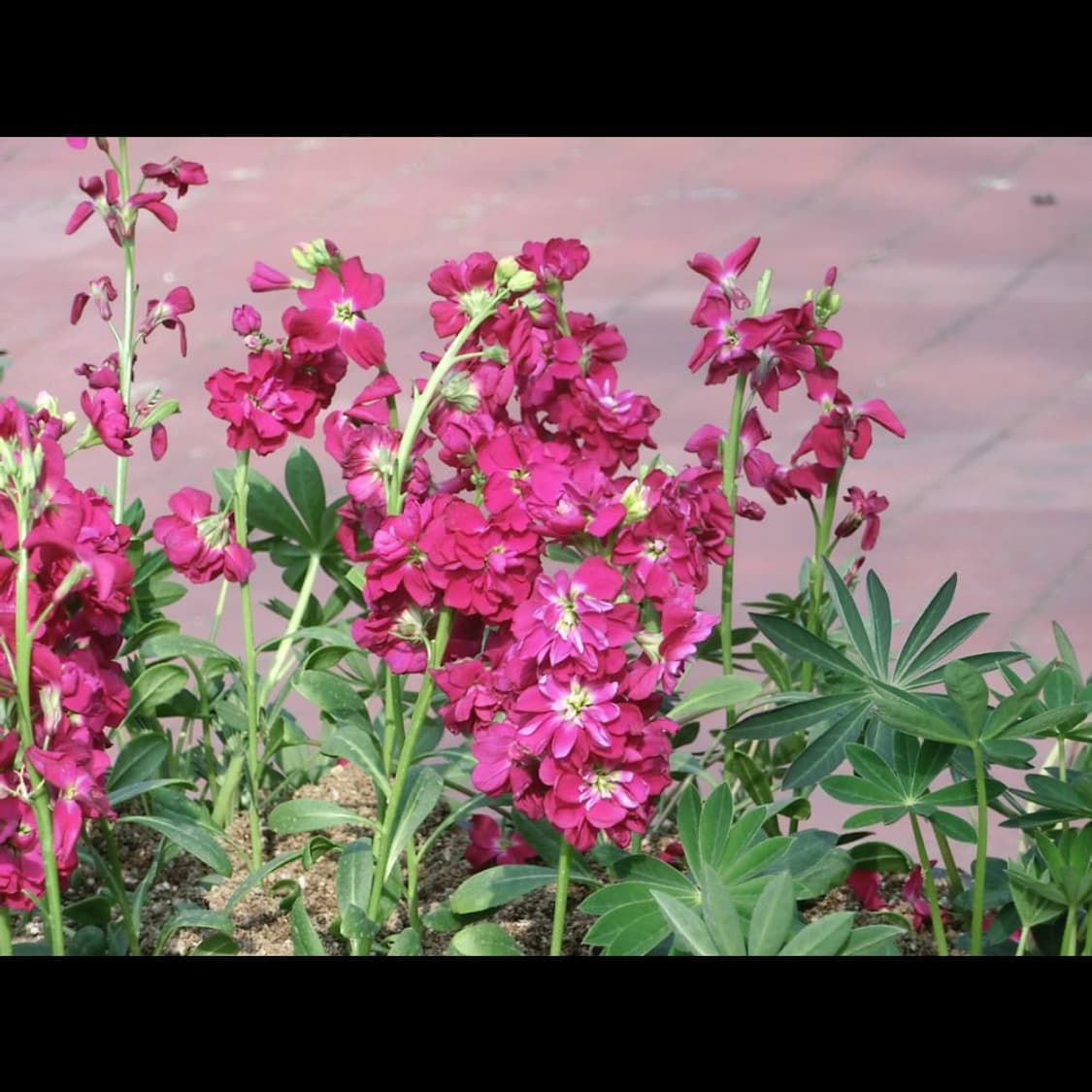 작례⭕️ 카시오 엑슬림 EX-H30 메이크업모드 상품이미지4