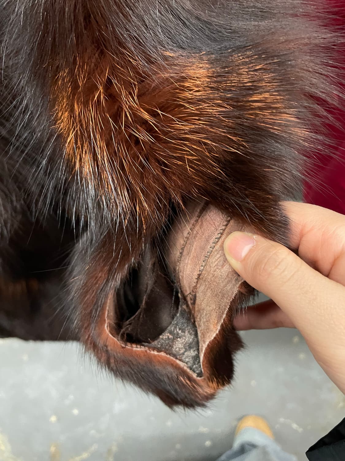 사가폭스 혼합 브라운 퍼 자켓 H1890 상품이미지9