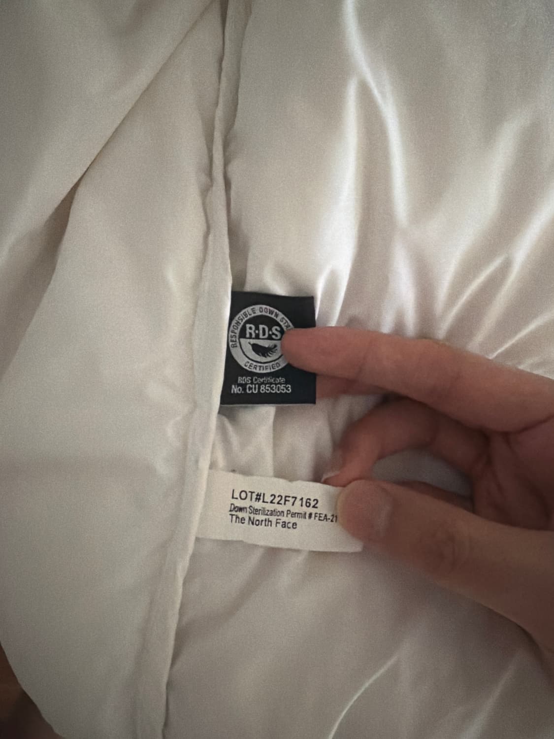 스페이스 1996 에코 눕시 자켓 화이트  상품이미지5