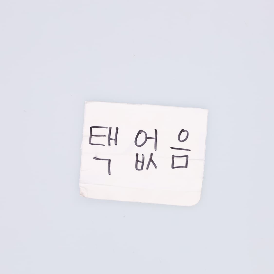 M 타미힐피거 여성 크롭 아가일 반집업 0521H 상품이미지4