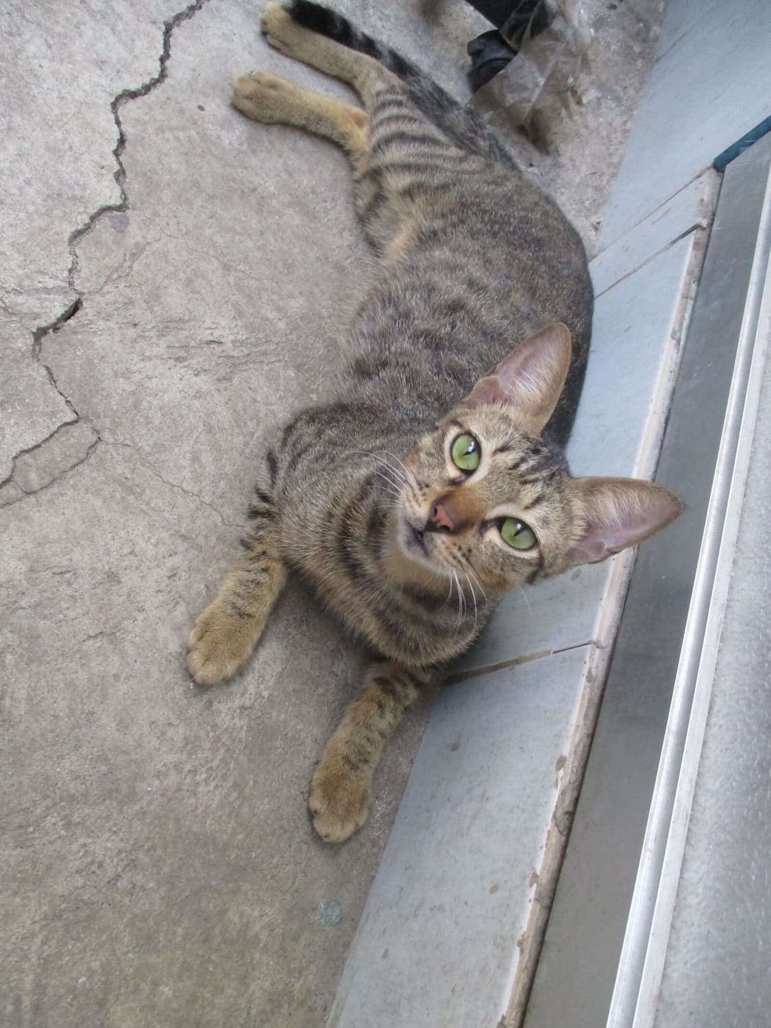 [뽀용&웜톤!] 캐논 IXY 150 (IXUS 160) 디지털카메라 상품이미지8