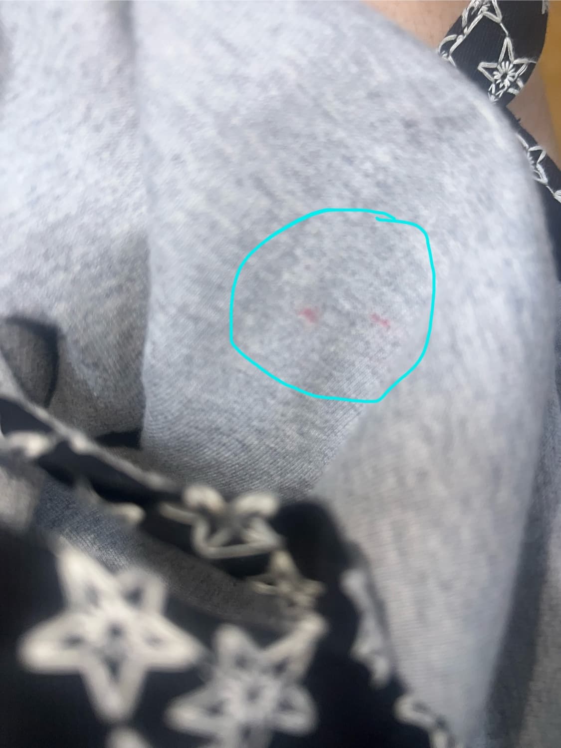 코이세이오 038 스타 에코백 상품이미지8