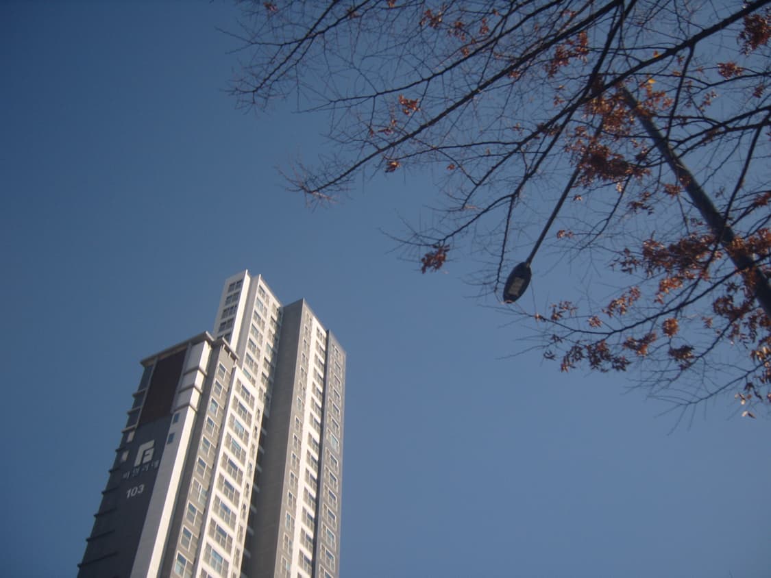 삼성 케녹스s1030디카 상품이미지7