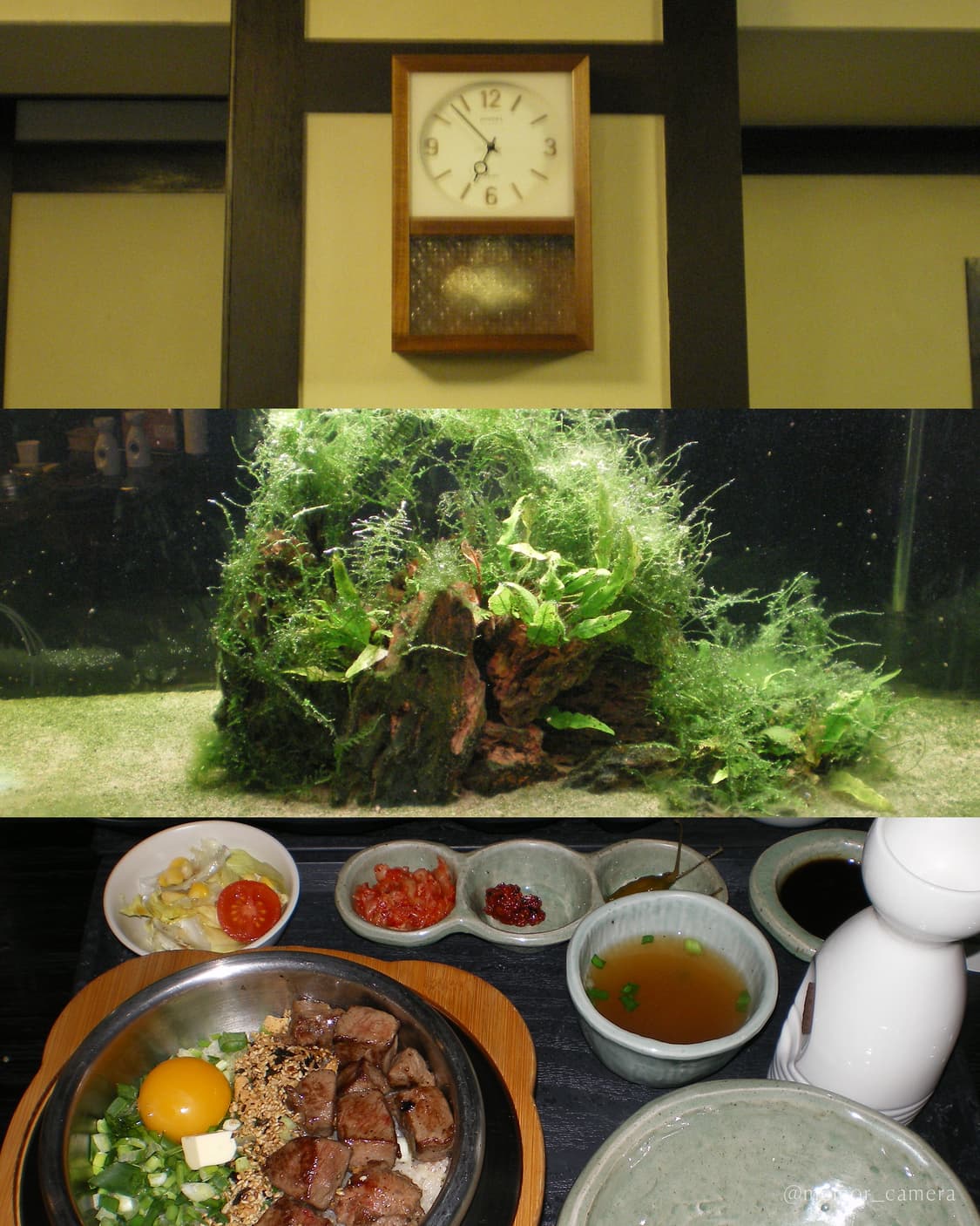 만능디카✨입문자추천👍🏻PENTAX Optio M20 펜탁스 디카 상품이미지7