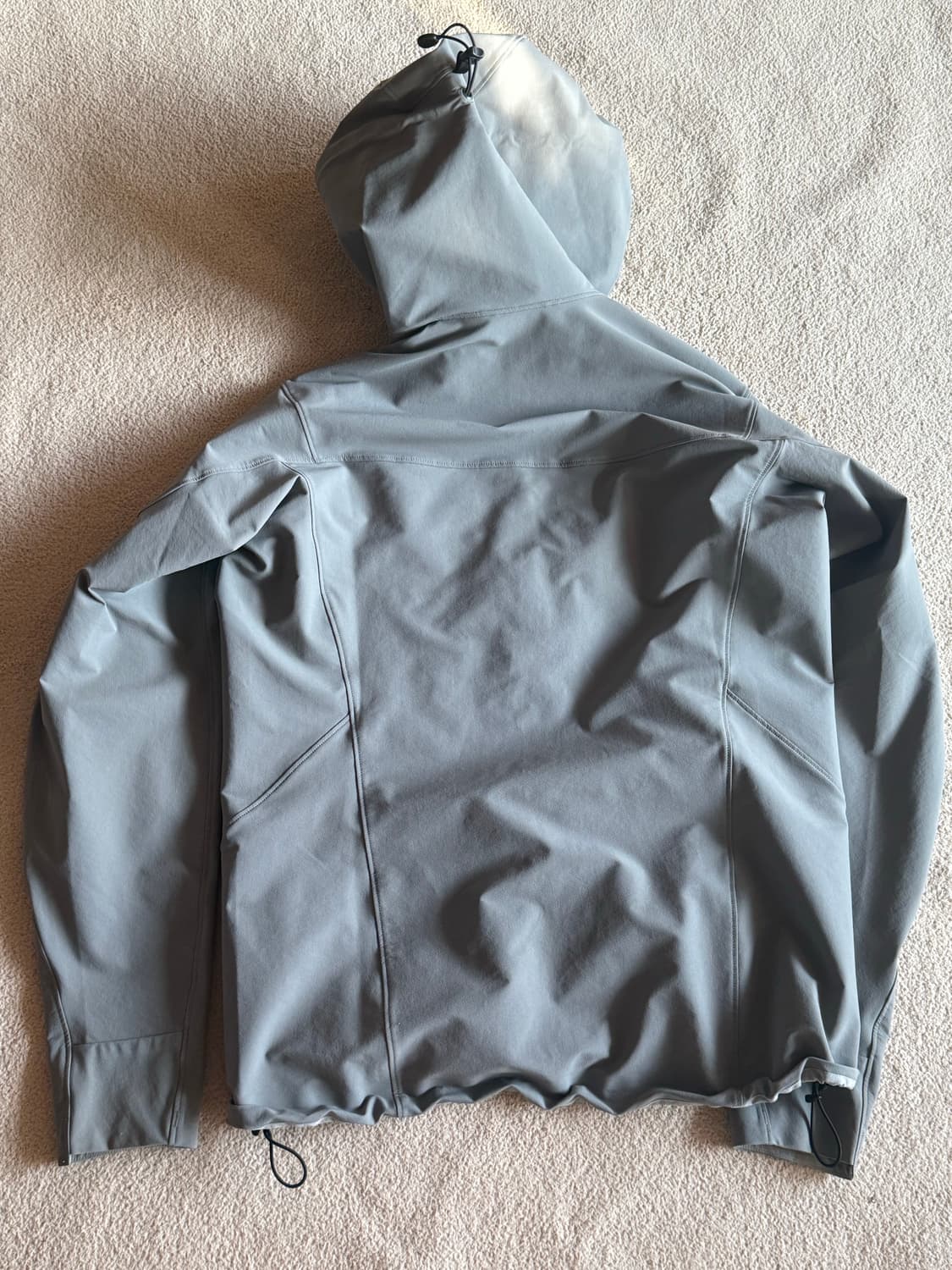 아크테릭스 감마 후디 상품이미지3