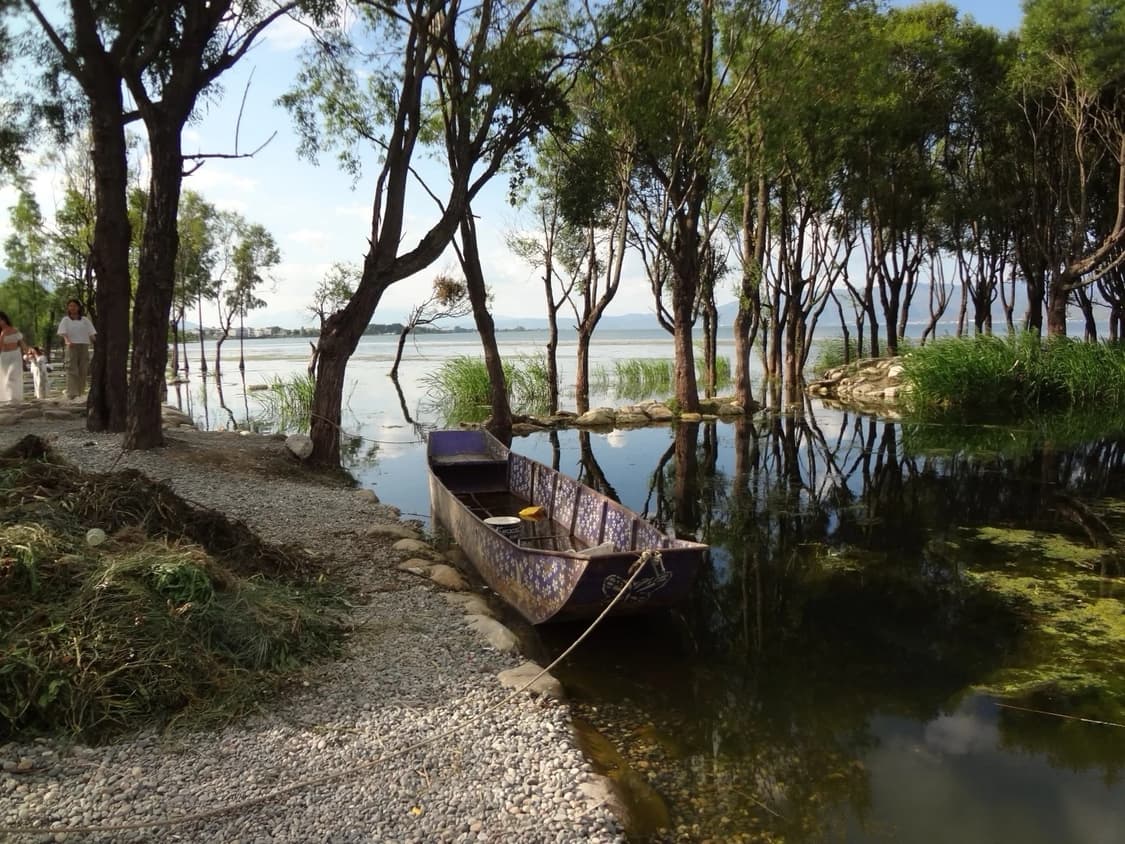 [*희귀🩵/작례⭕️] 소니 사이버샷 DSC-WX50 빈티지 카메라 디카 상품이미지8