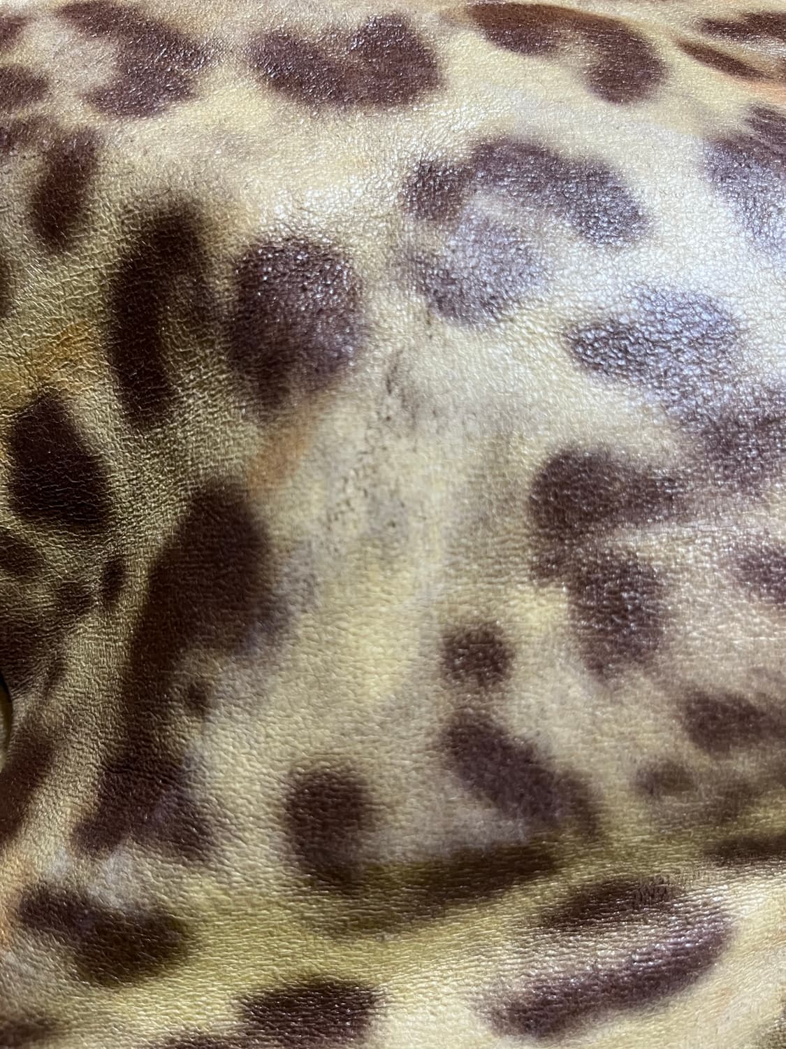 레오파드백 상품이미지6