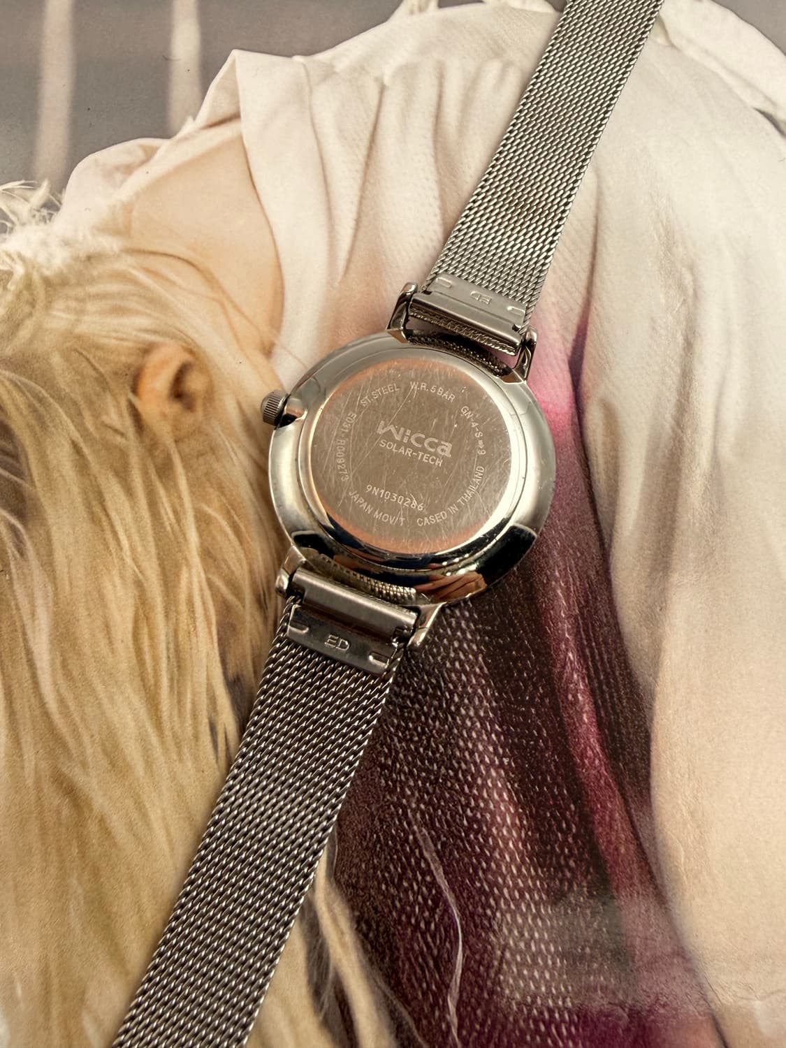 Citizen Wicca_2010s vintage Solar watch 상품이미지6