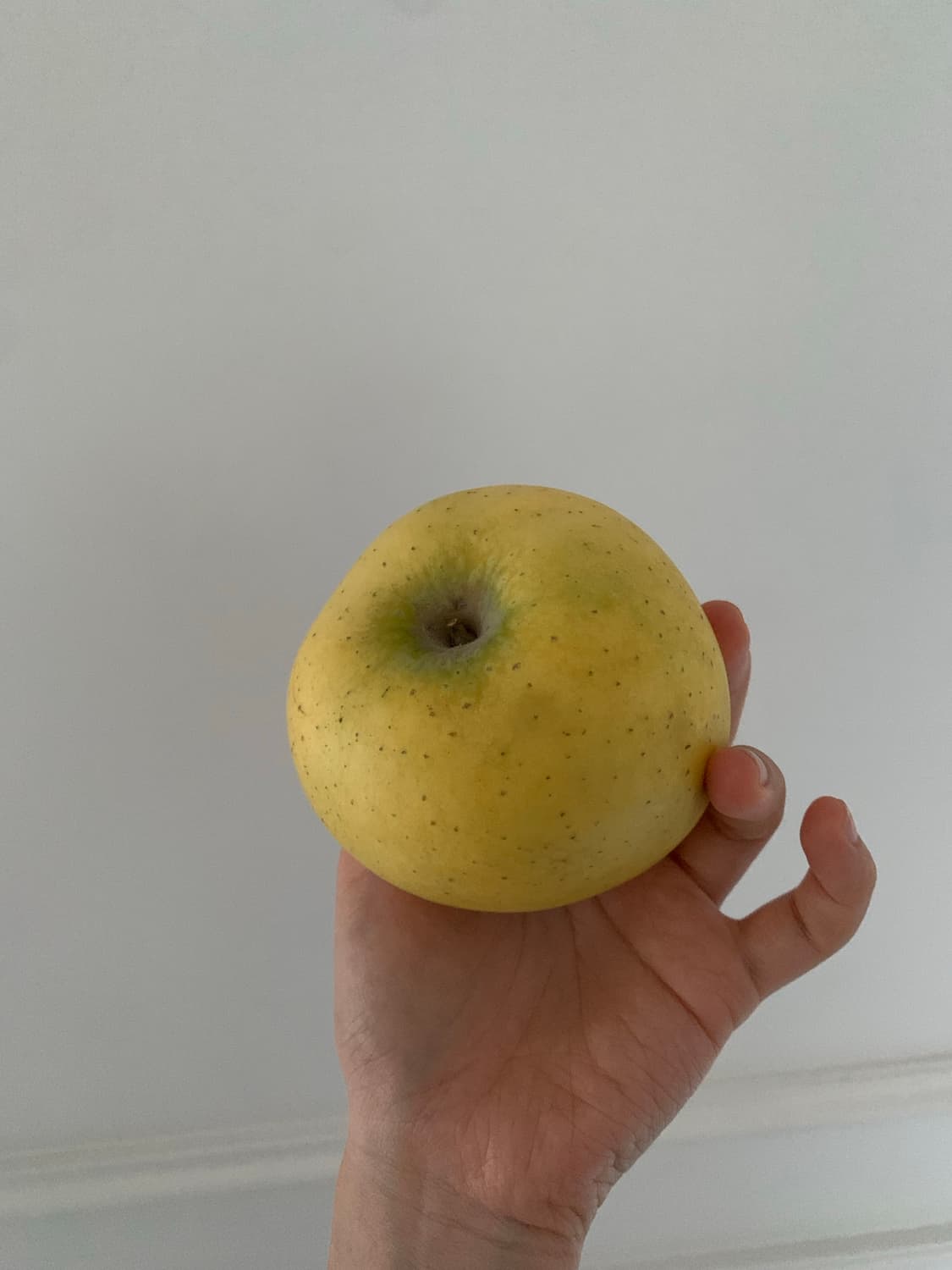 개인결제창 상품이미지1