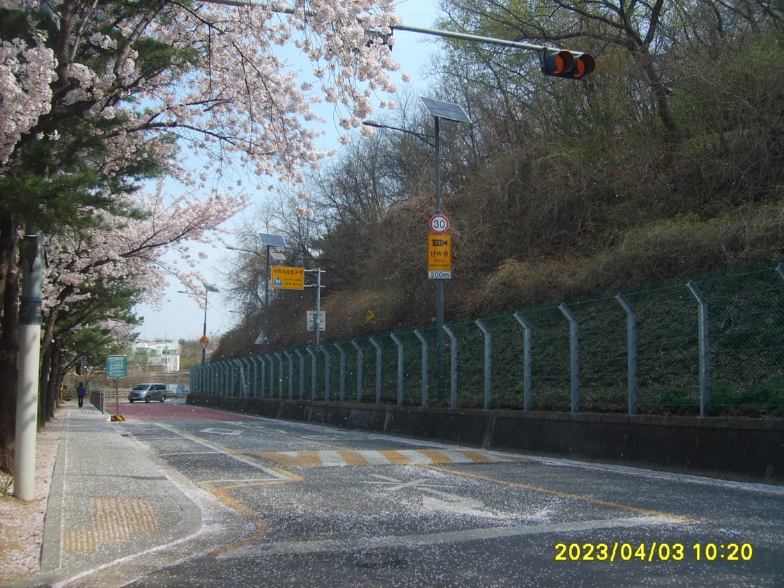 삼성 케녹스 s500 디카 (빈티지 카메라) 상품이미지8