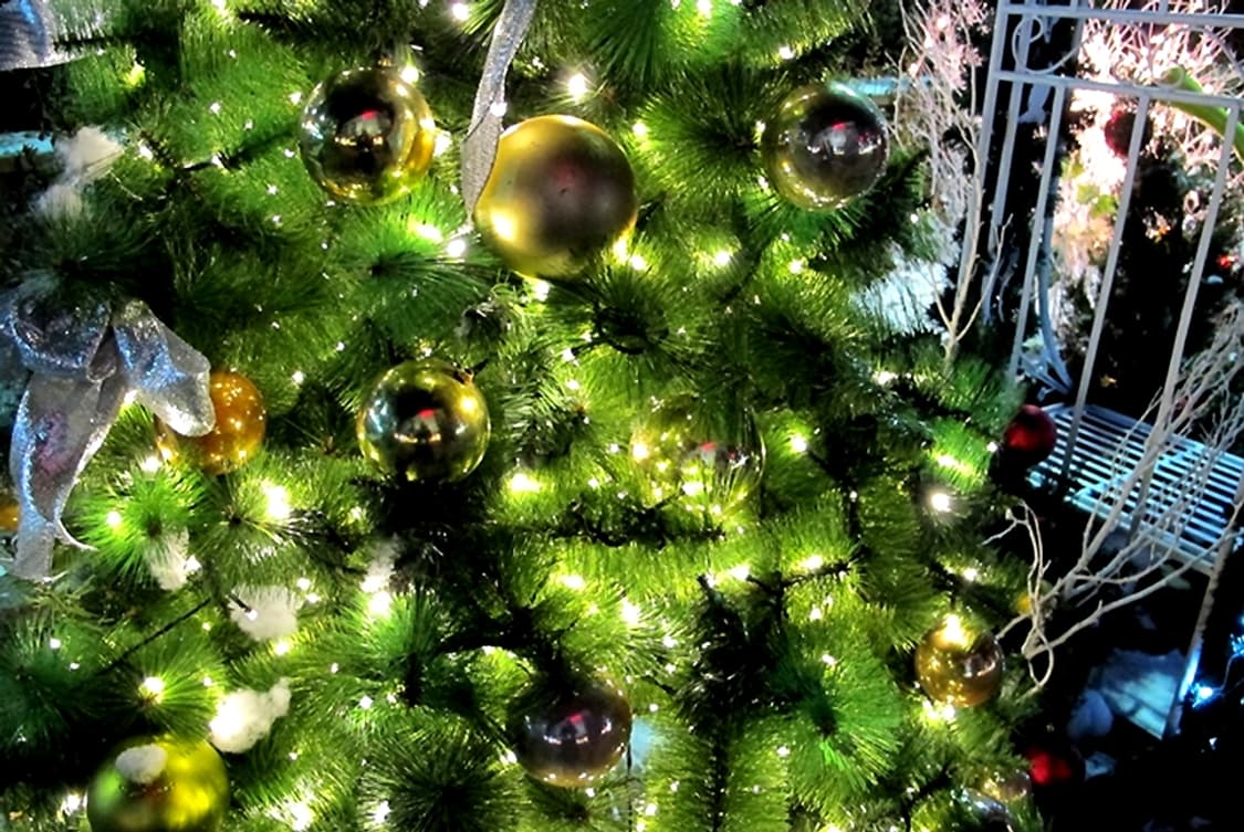 캐논 파워샷 G12 디카 (빈티지 카메라) 상품이미지6