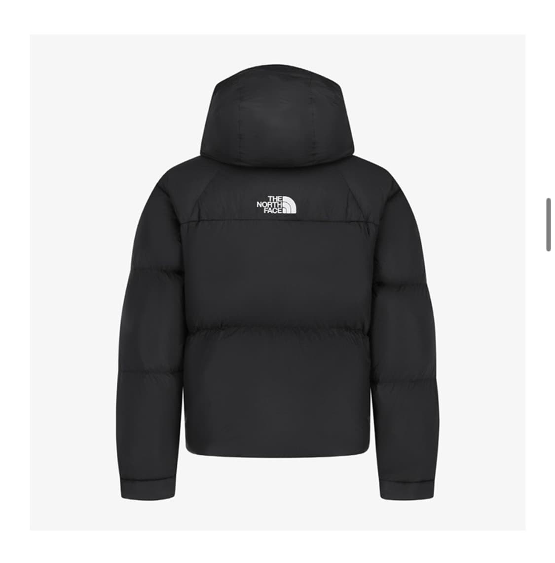 노스페이스 프로젝트 다운 상품이미지5