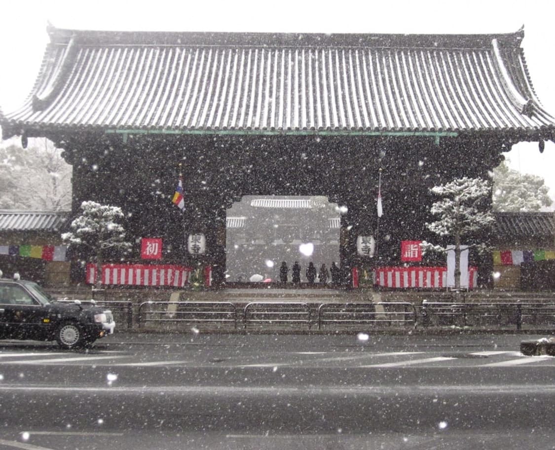 캐논 익서스 Canon IXUS 105 핑크 상품이미지10
