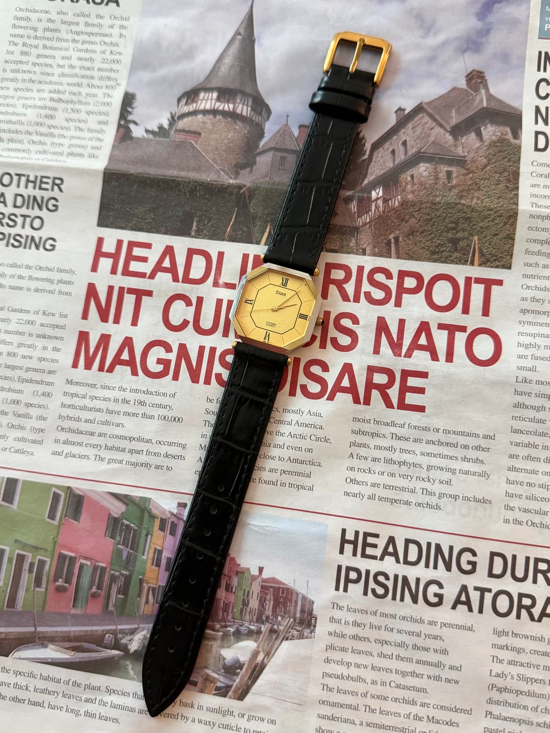 Citizen 시티즌 Duke 옥타곤 쿼츠 상품이미지2