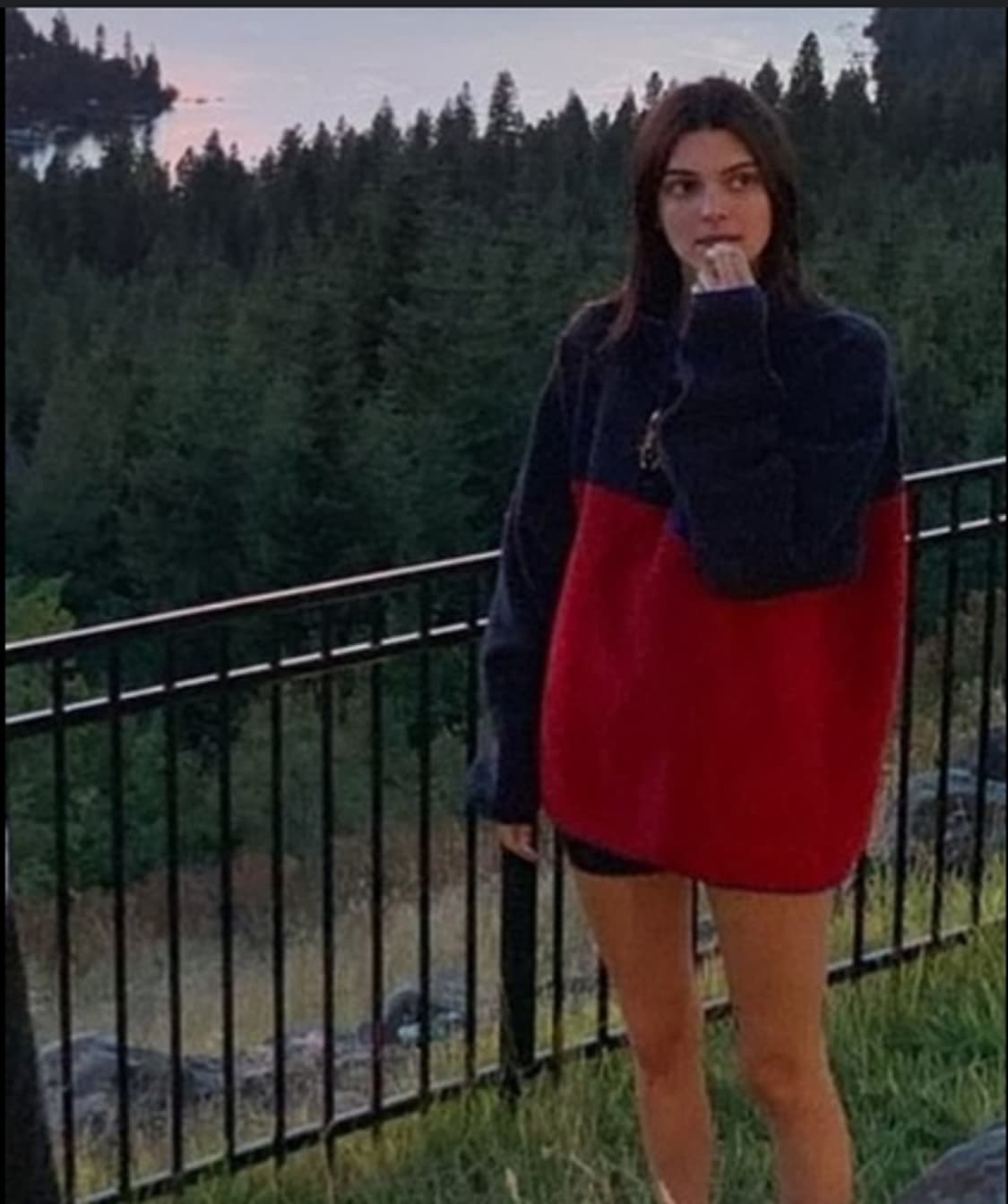 파타고니아 신칠라 레드네이비 L 상품이미지3