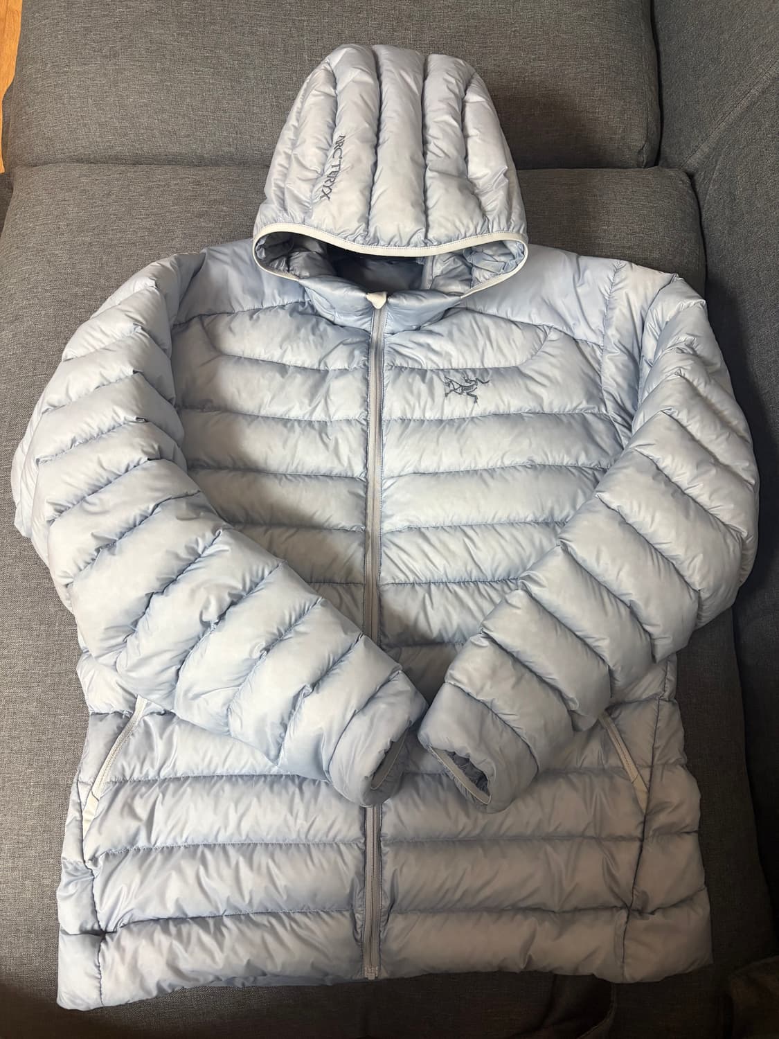 [L] 아크테릭스 세륨 후디 루센트 상품이미지1