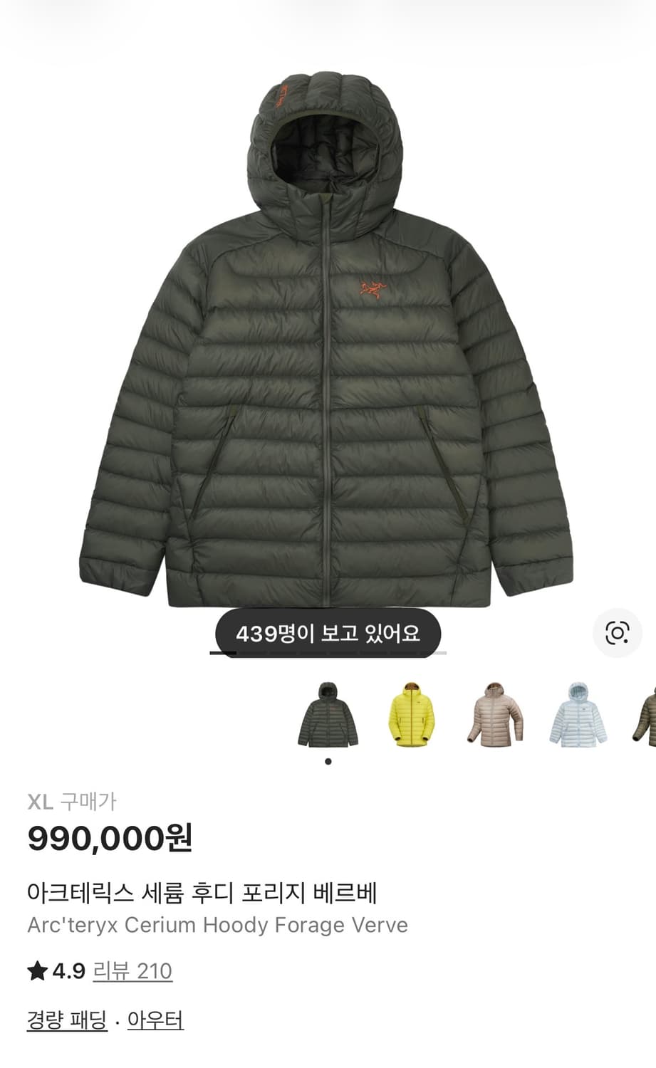 (L,XL)아크테릭스 세륨 포리지 베르베 새상품 상품이미지2