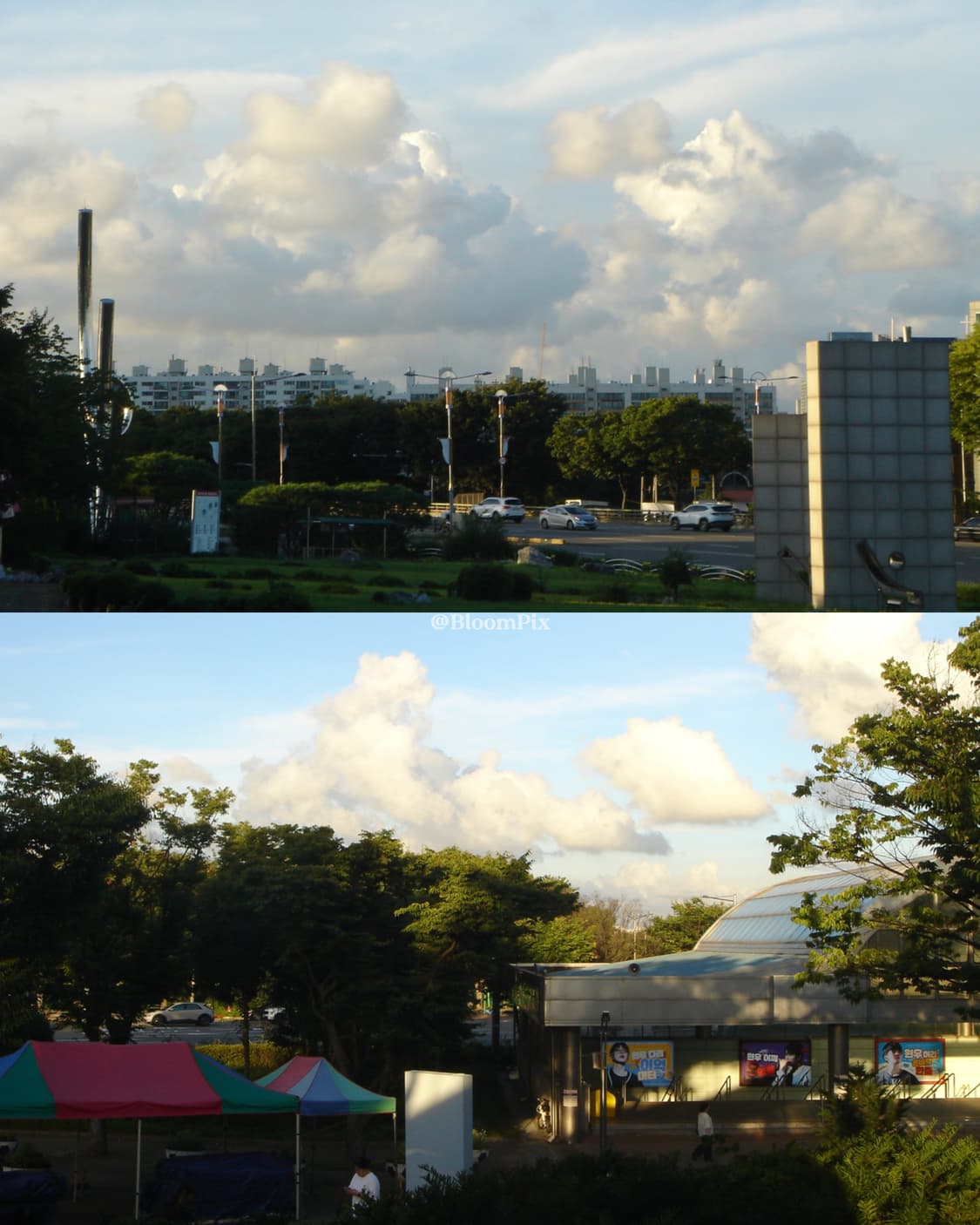 [A+급/풀구성] 소니 M2  Sony DSC-M2 상품이미지2