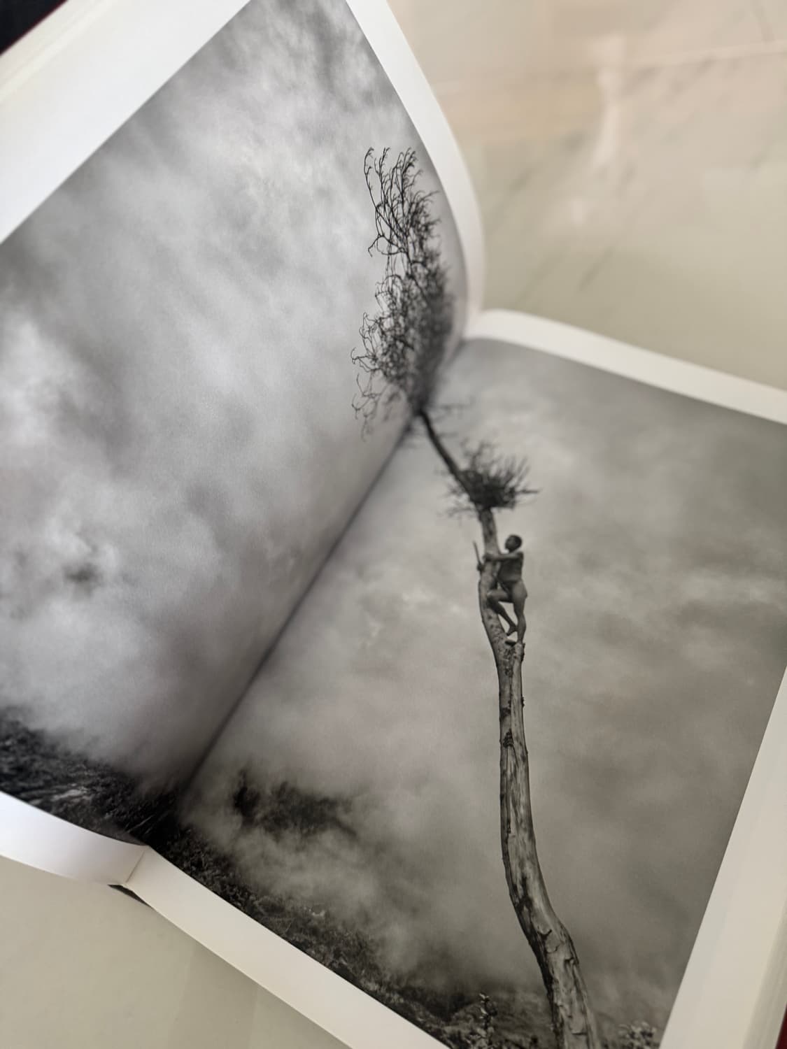 GENESIS : 세바스티앙 살가도 제네시스 상품이미지4