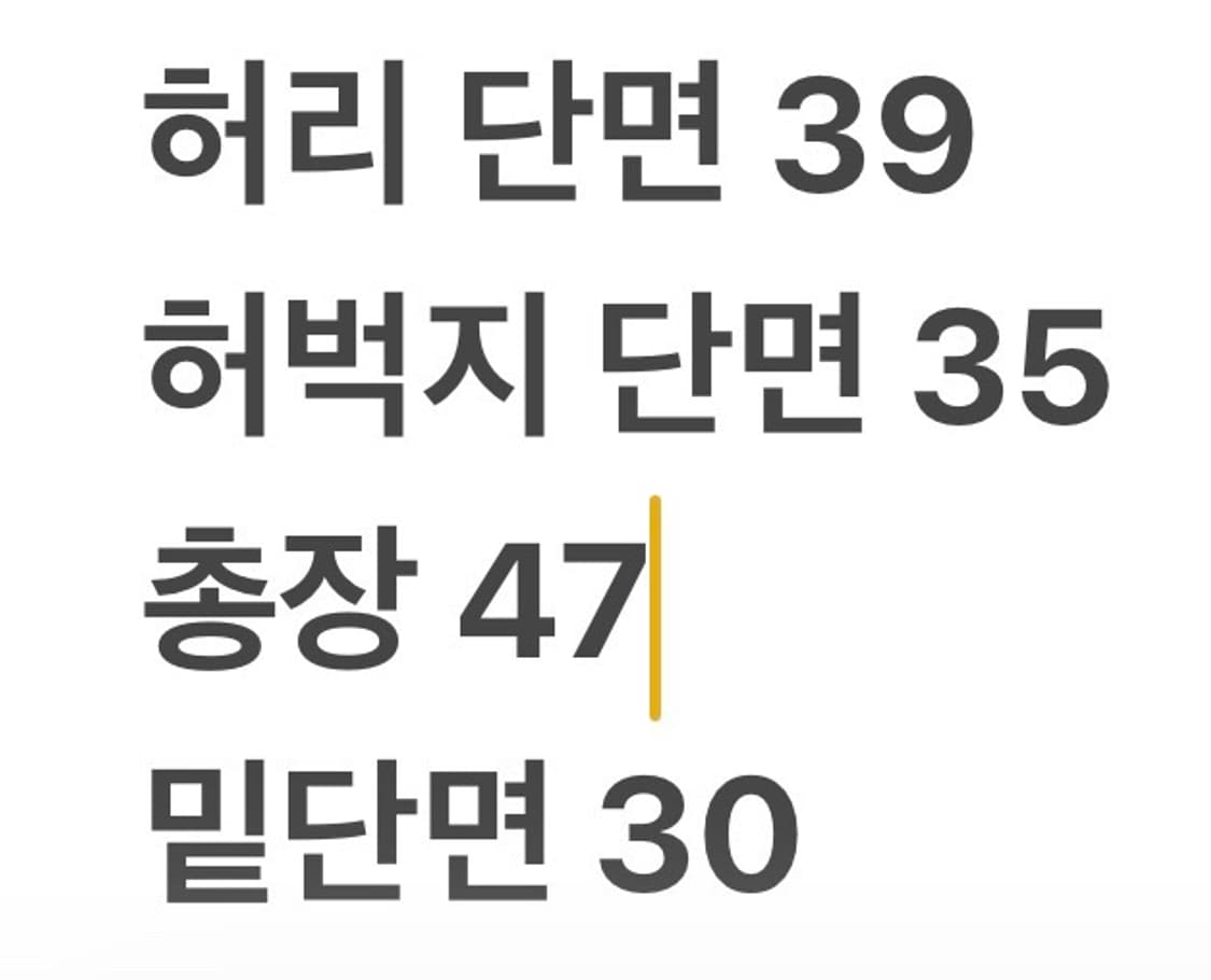[정품/L] 파타고니아 반바지 아쿠아 블루 b8 상품이미지9