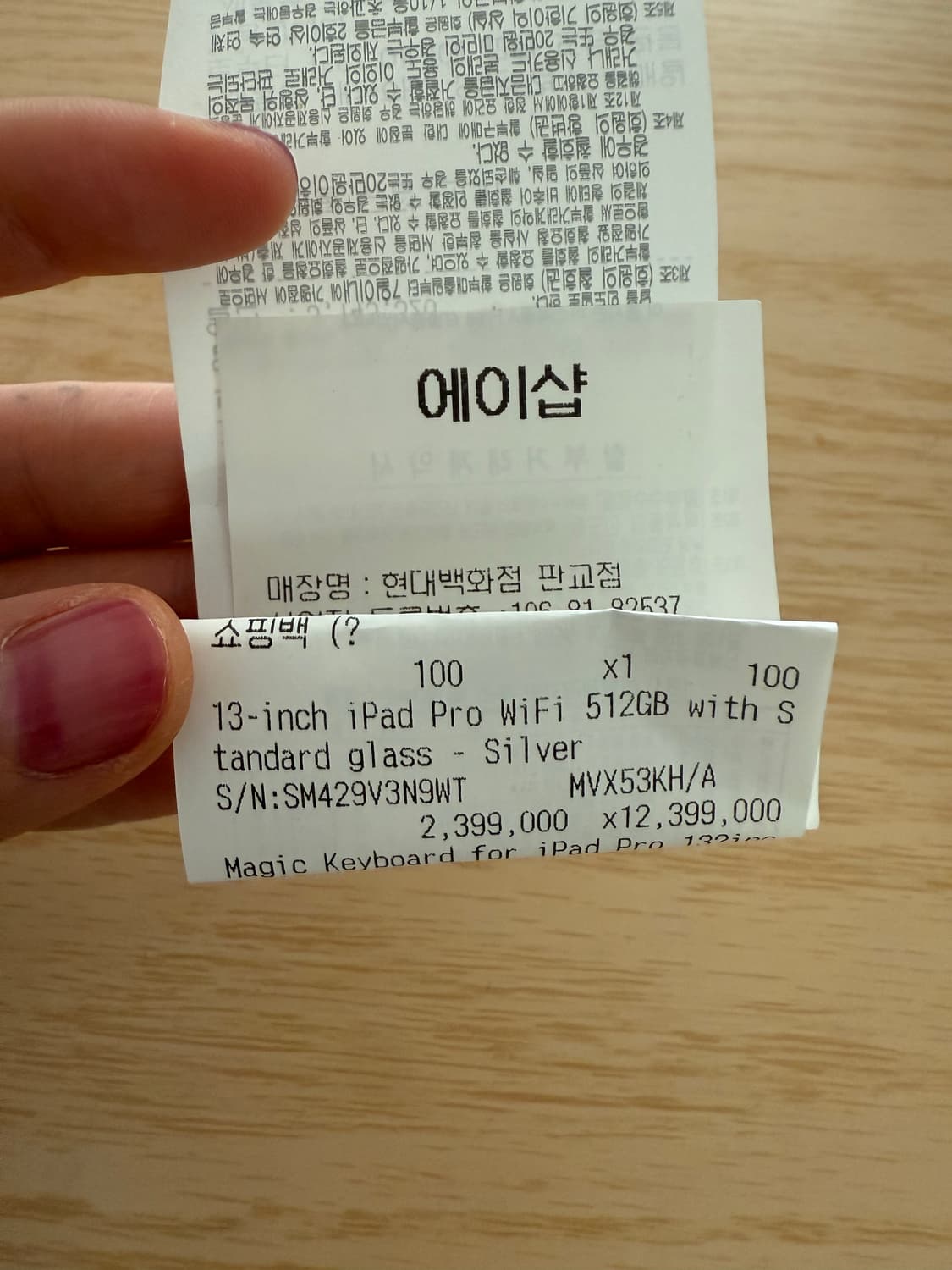 아이패드 프로 13인치 m4 512 실버 상품이미지6