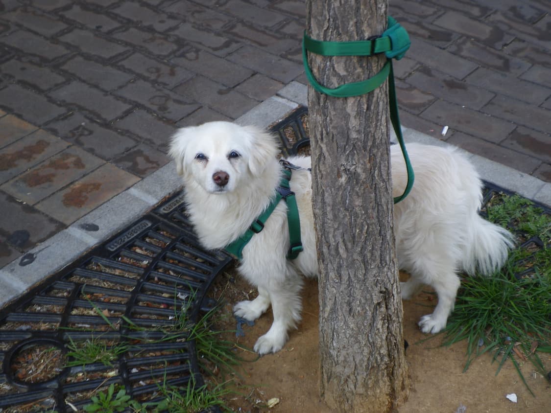 작례 있음💗 희귀!!) Pentax Optio E70 ⭐️ 상품이미지8