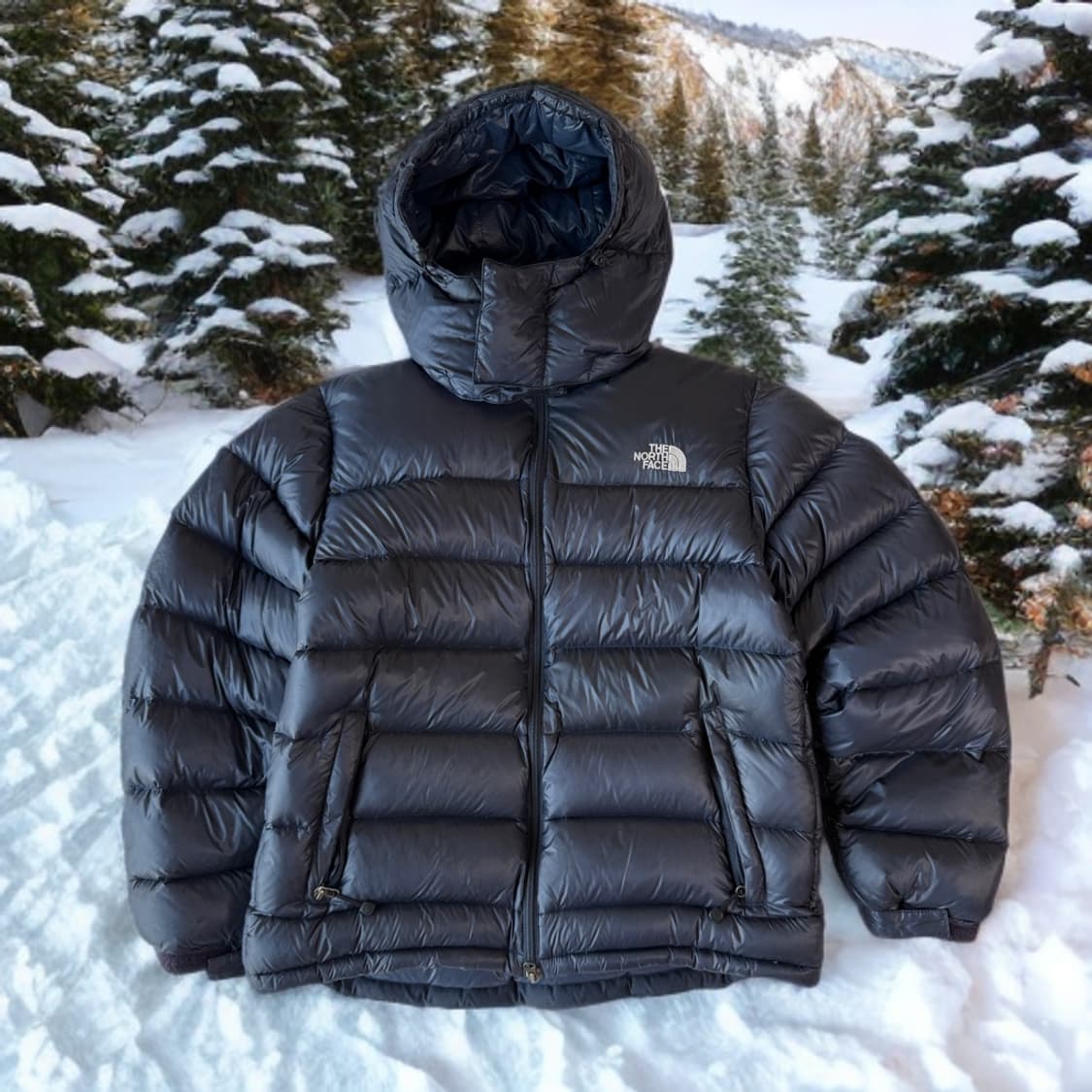 노스페이스 퍼텍스 퀀텀 초경량패딩 (L) 상품이미지2