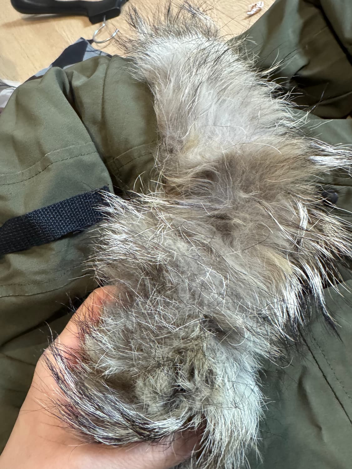 캐나다구스 켄싱턴 파카 xs 상품이미지7