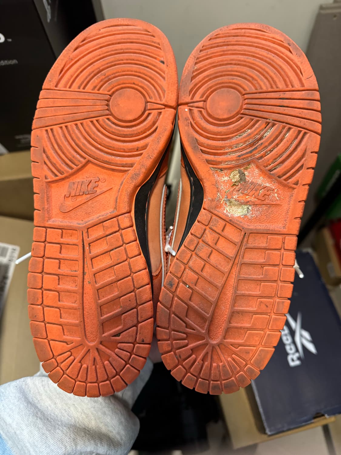 나이키sb x 컨셉트 랍스터 265 상품이미지2