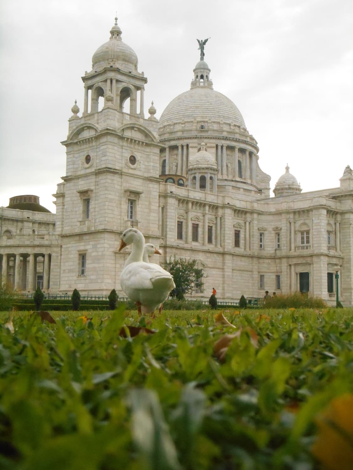 민트✧･ﾟNikon Coolpix S3500 니콘 쿨픽스 S3500 디카 상품이미지2