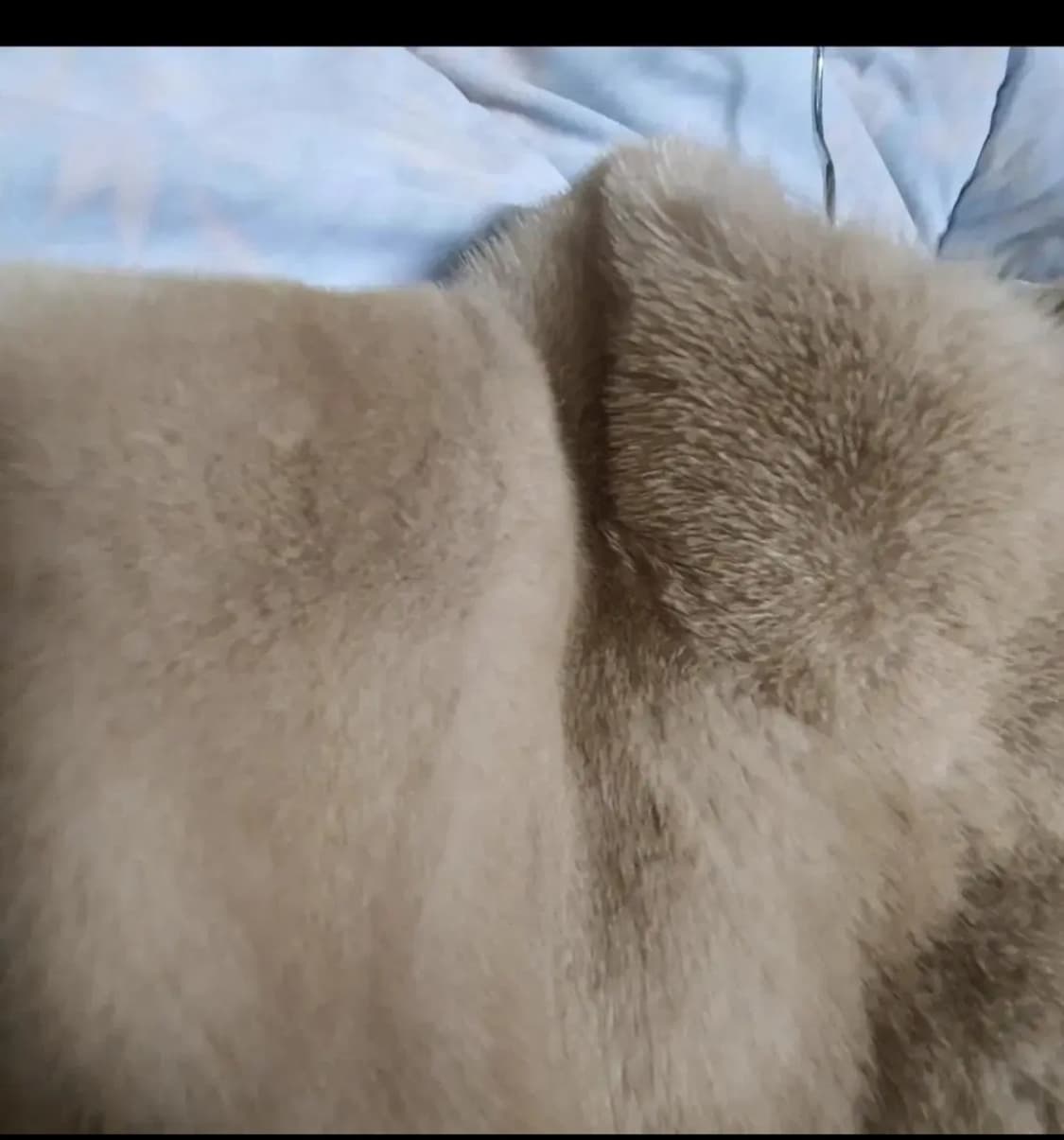 국제모피 상품이미지2