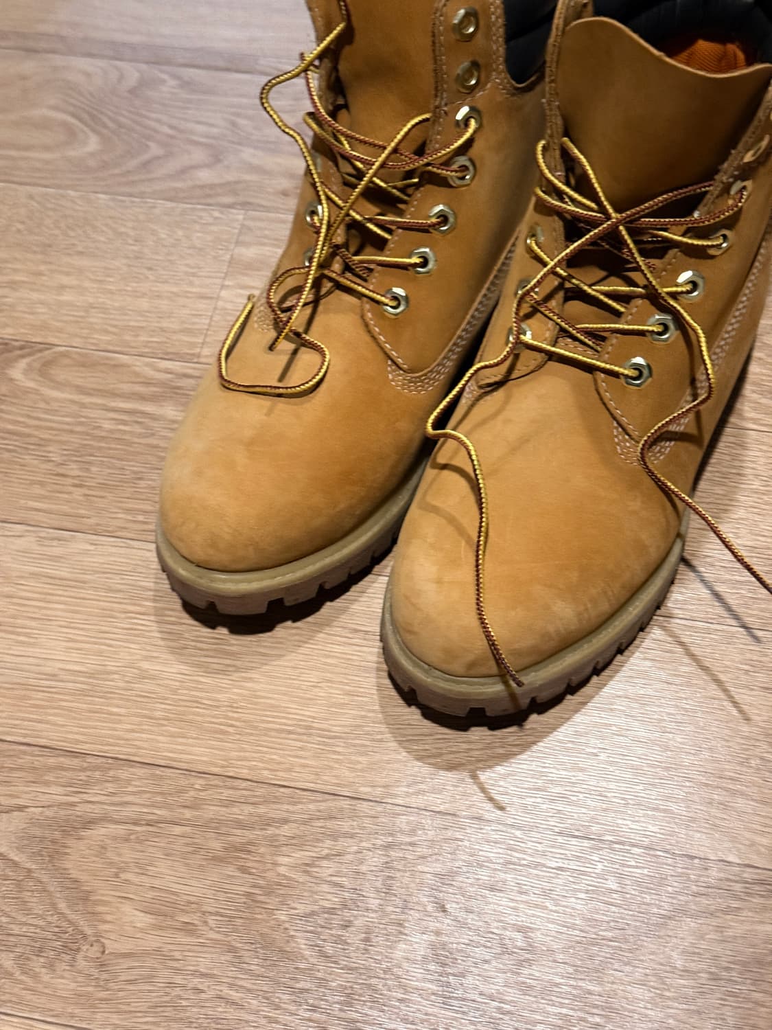 팀버랜드 6인치 250 상품이미지2