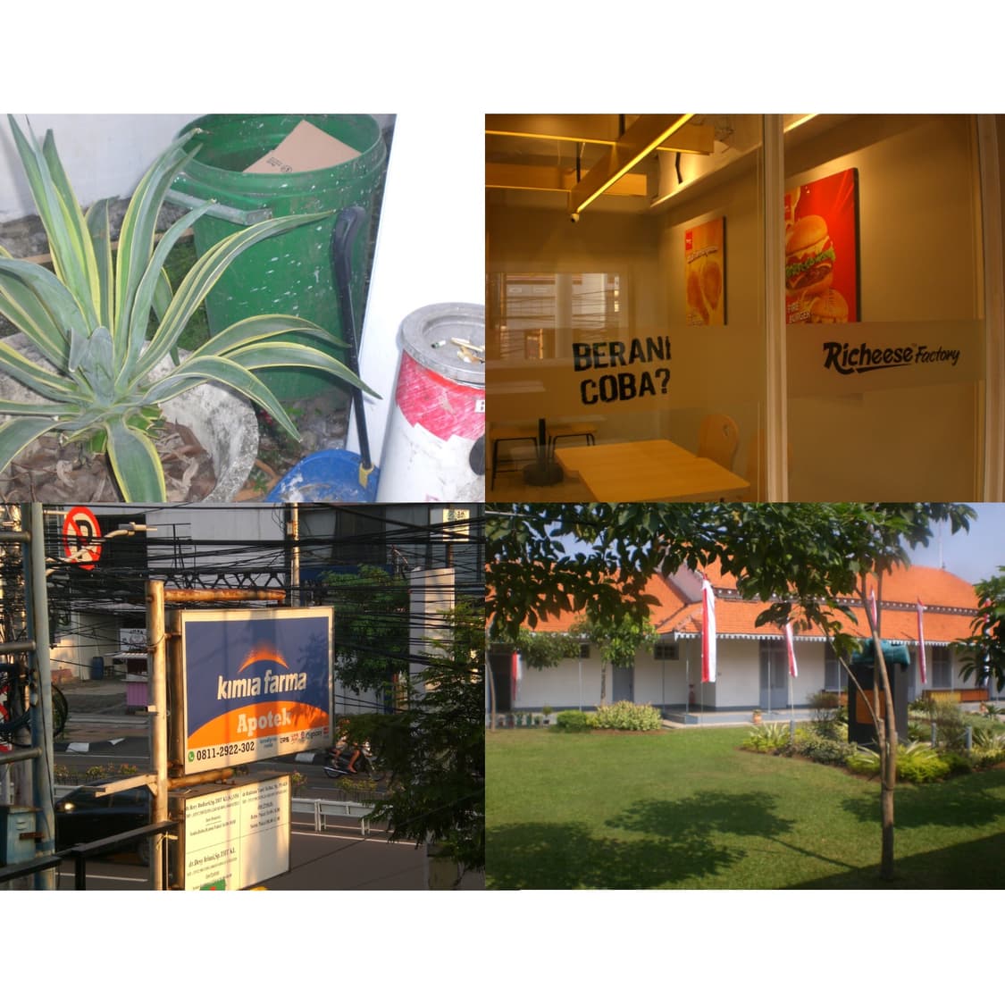 Casio z75 핑크컬러 ( 아이브 카메라 작례 0) 상품이미지4