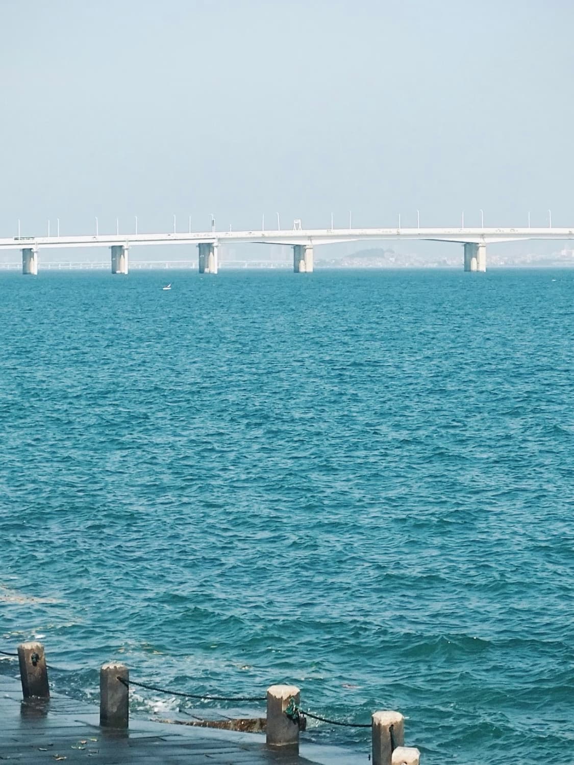 (몽환감성🫧) 파나소닉 루믹스 DMC-S2 | Lumix DMC-S2 상품이미지3