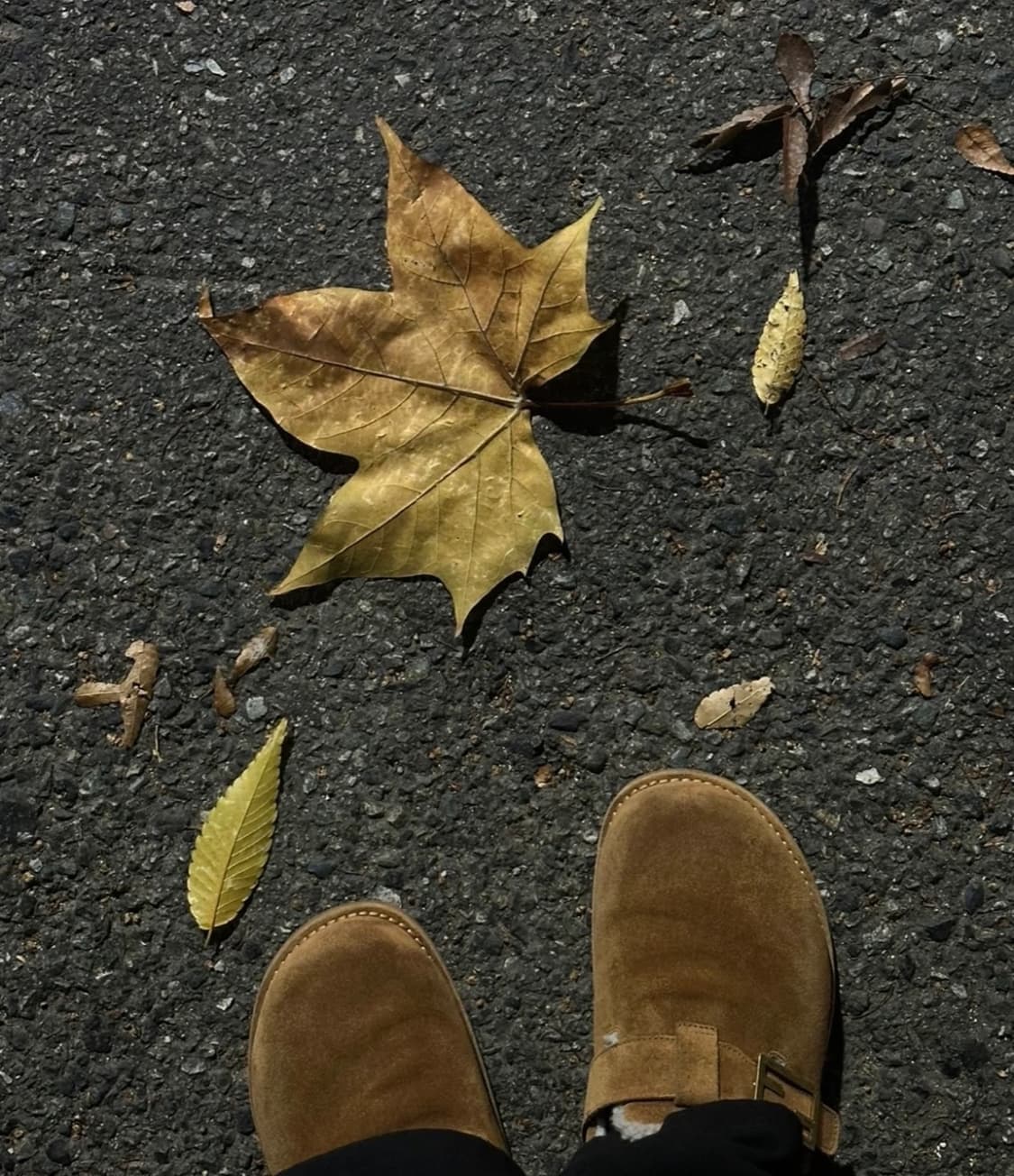 펜디 스웨이드 어그 뮬 38 상품이미지3