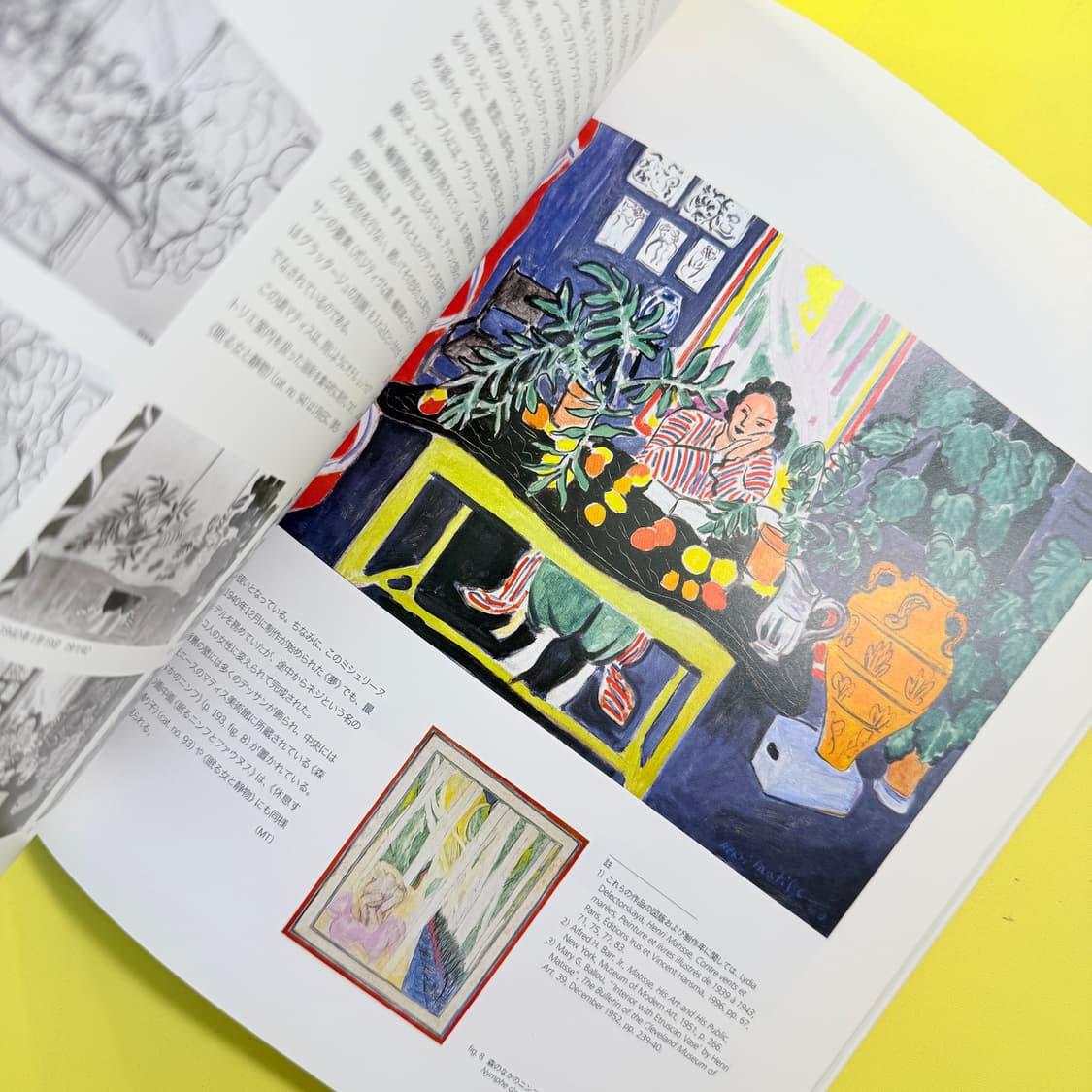 앙리 마티스 도록 Henri Matisse 일본 도쿄 전시회 미술 아트북 상품이미지8
