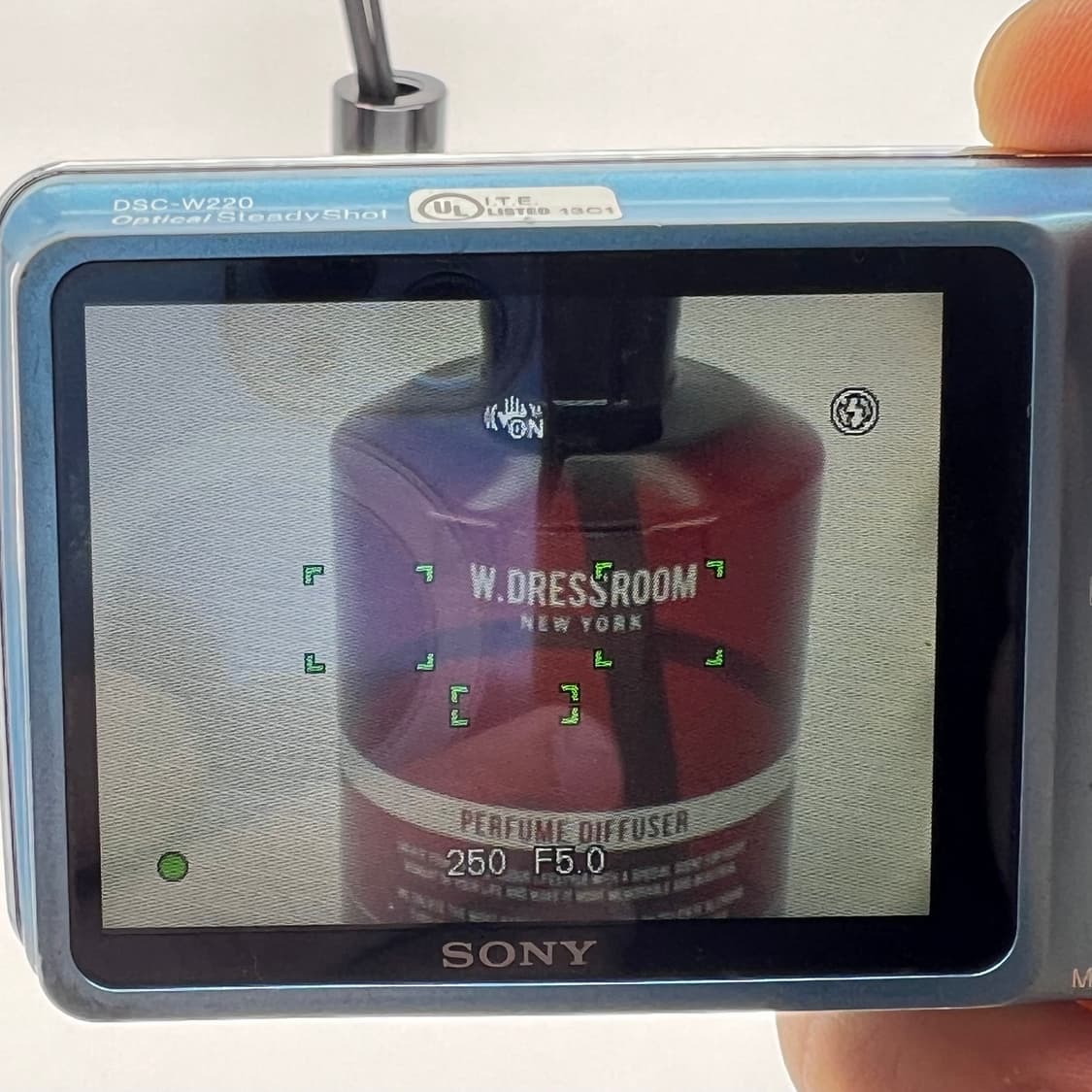 소니 사이버샷 Sony Cyber-shot DSC-W220 블루 상품이미지10