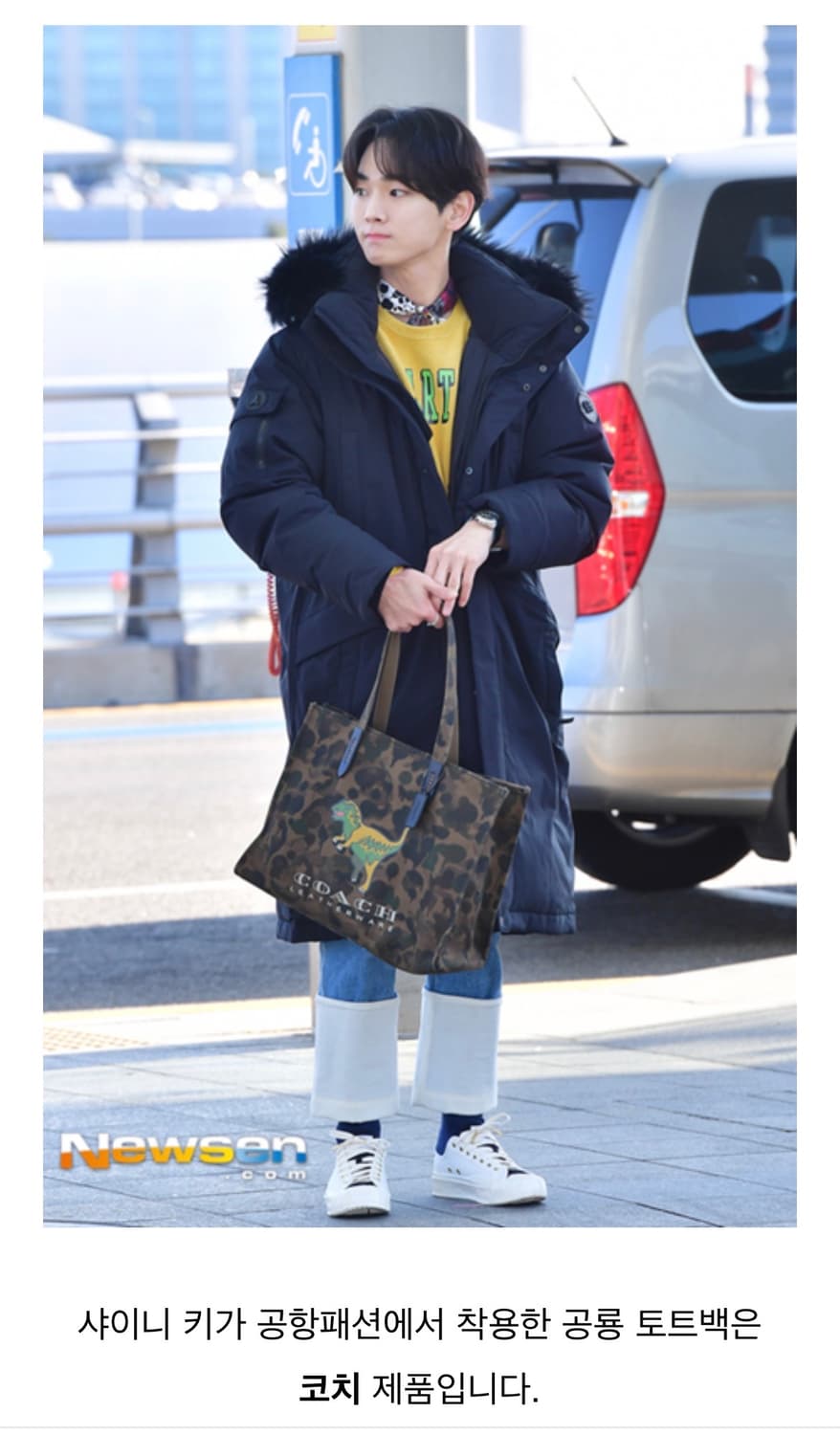 COACH Wild Beast Rexy Canvas Tote Bag 상품이미지10