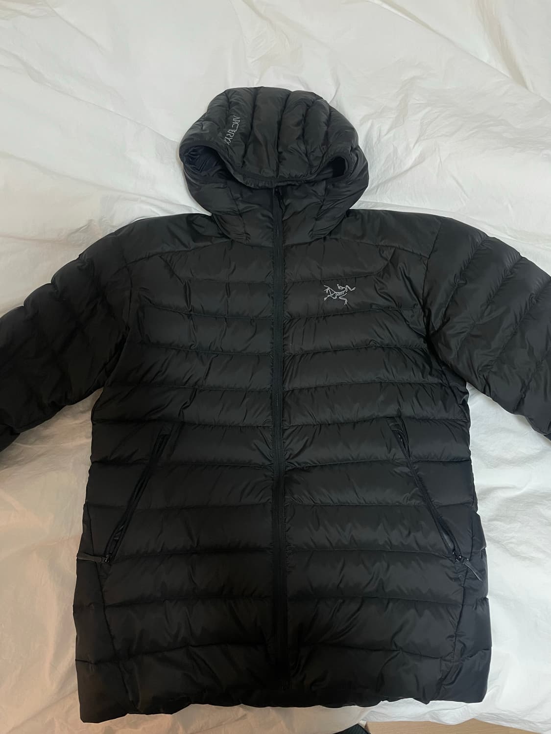 아크테릭스 세륨 후디 블랙 S 상품이미지2